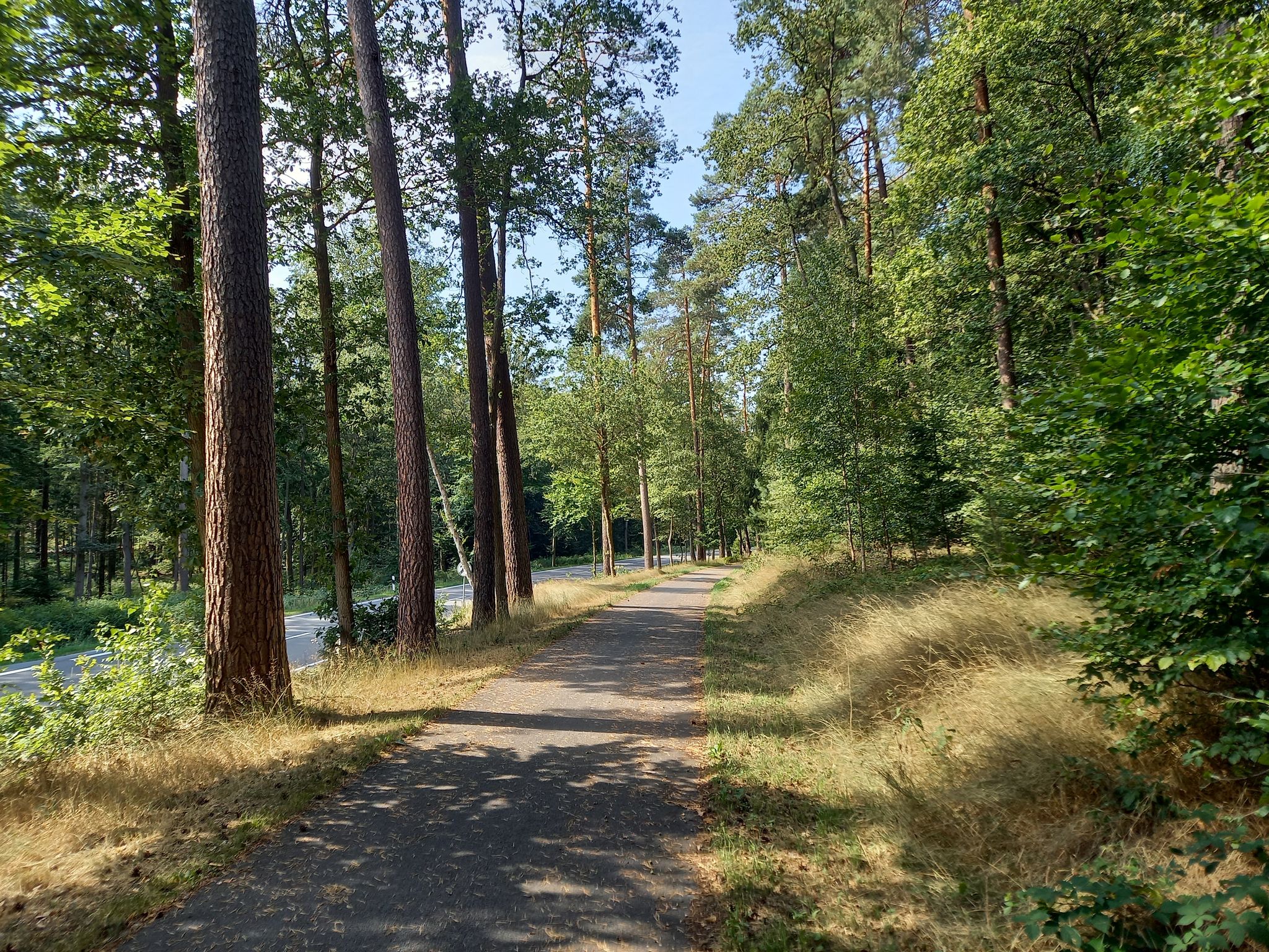Radweg neben der Straße