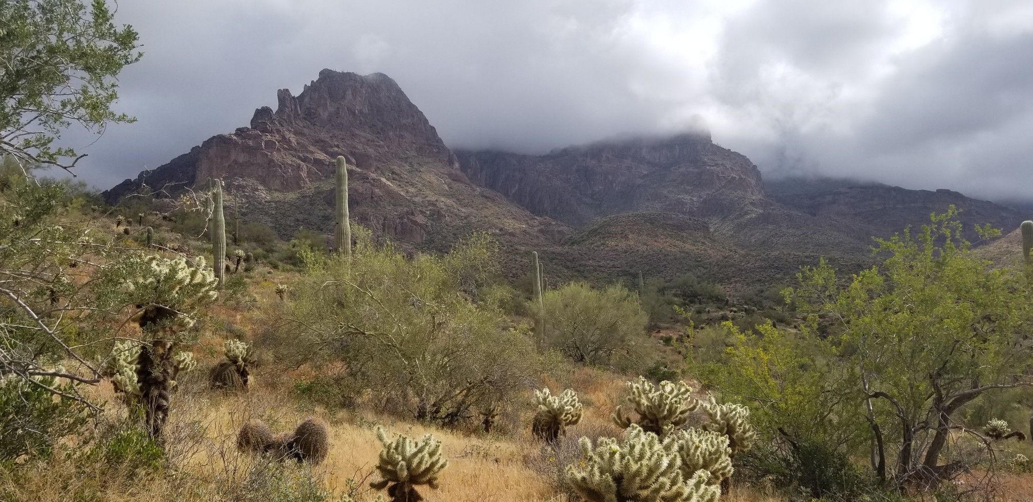 Cloudy skies hang over rugged desert mountains with cacti and dry brush. - Turk's Head via Lost Goldmine Trail