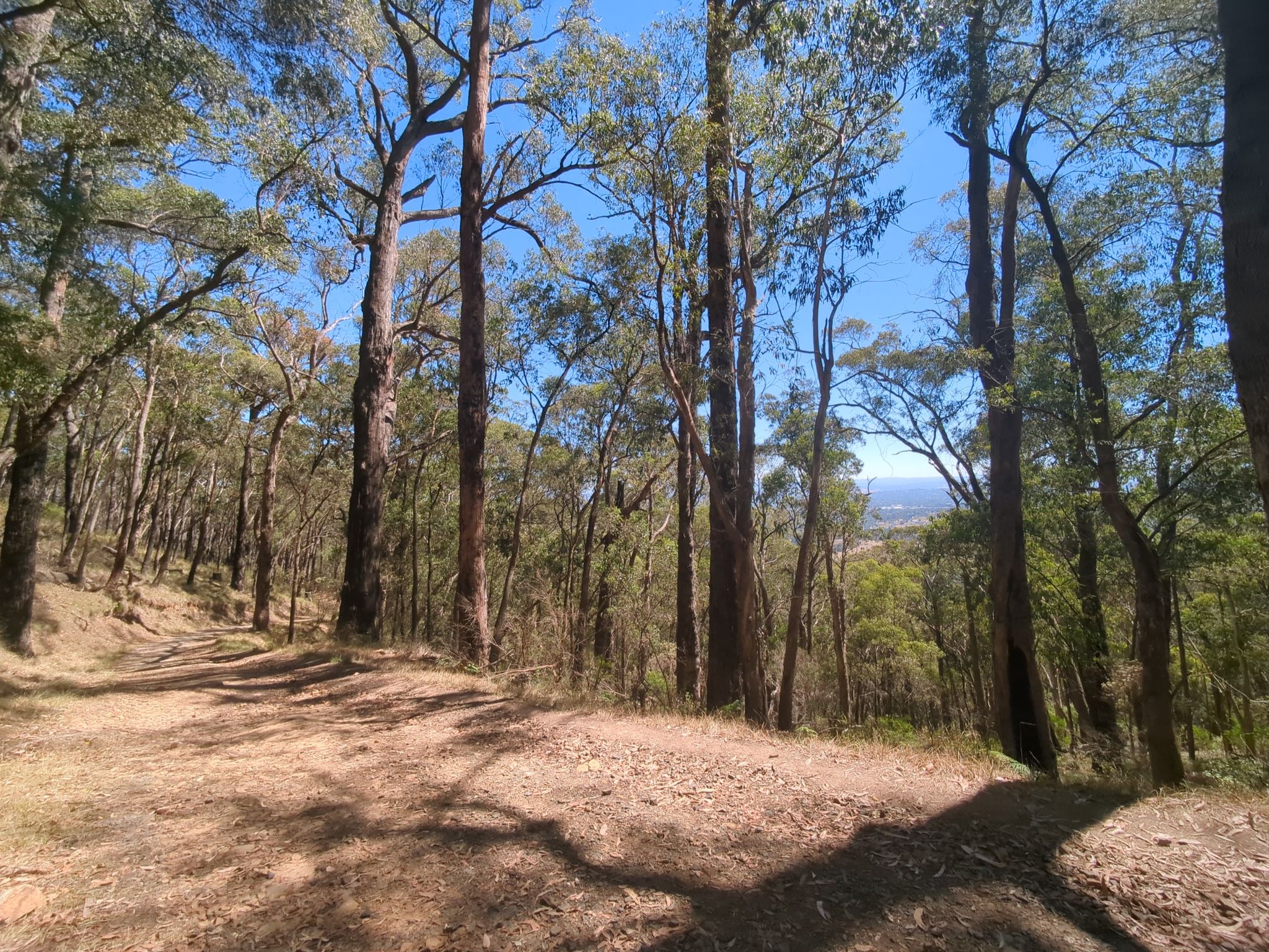 Big view