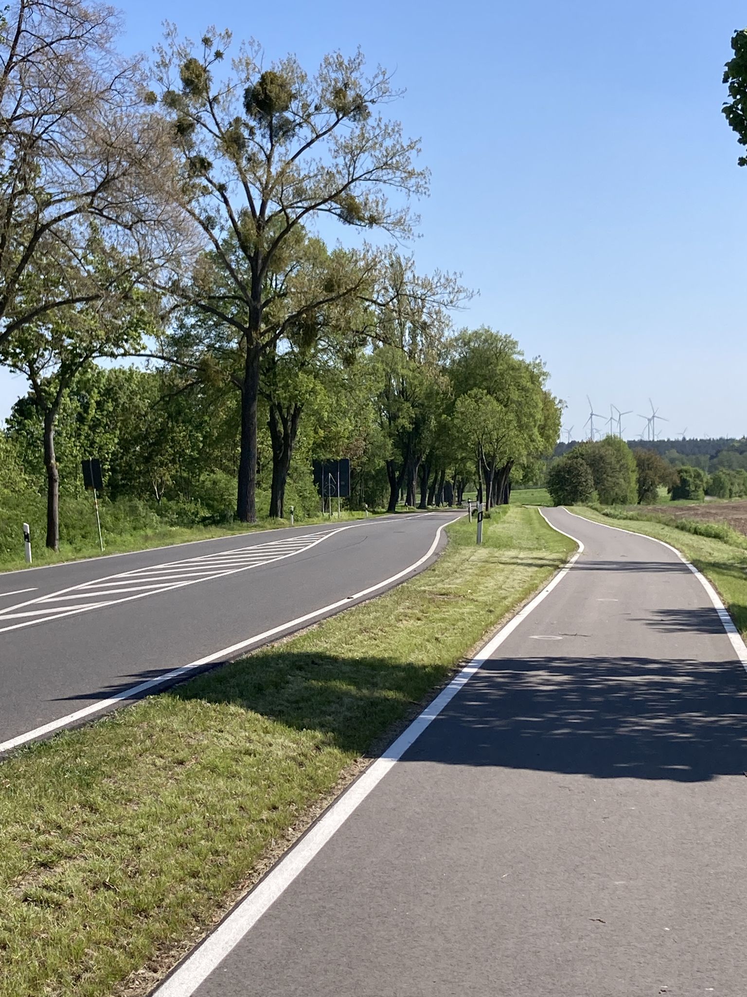 Endlich auf schönem Radweg neben B2!