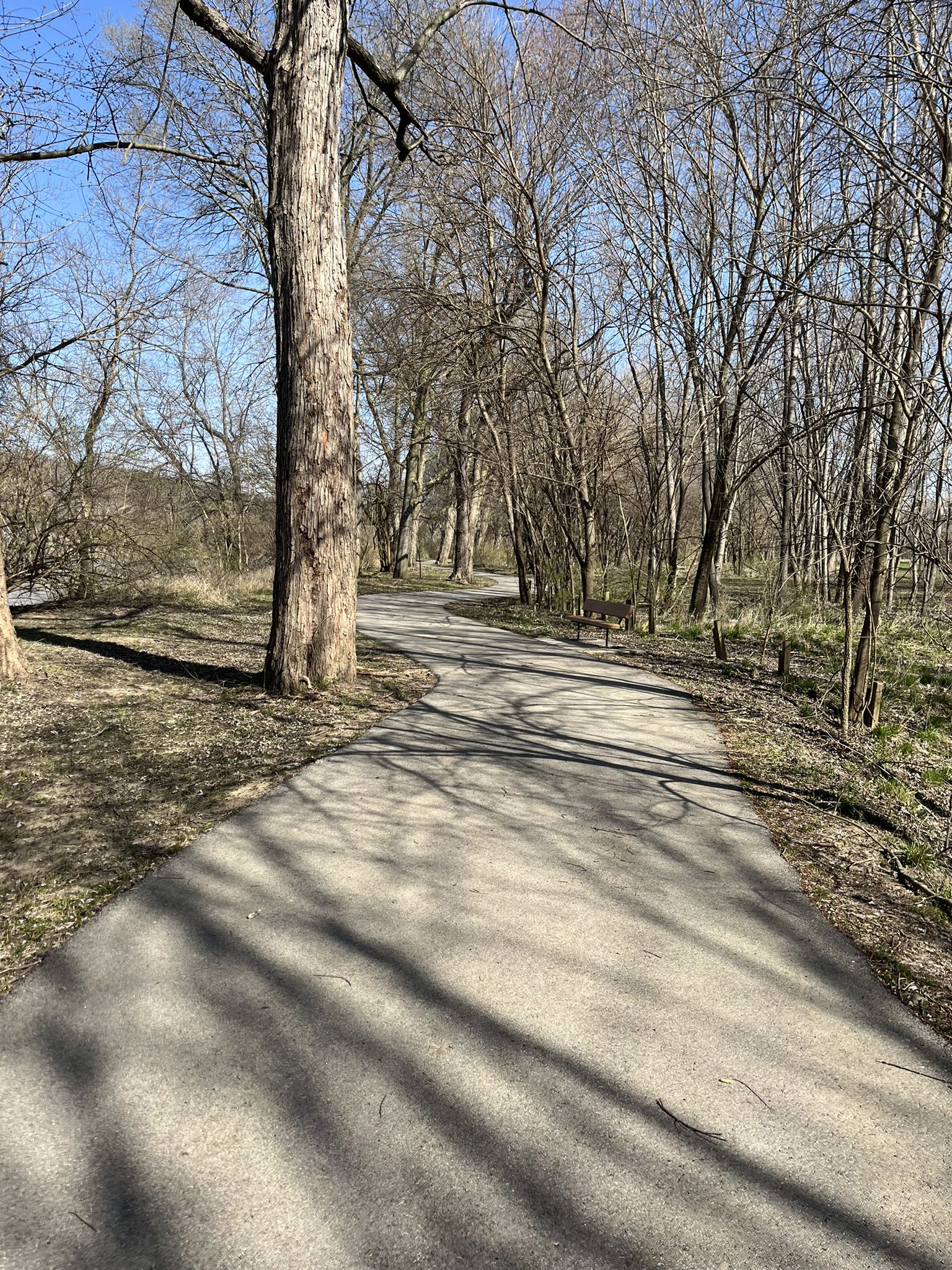 Paved path winding through bare trees, long shadows on a sunny day. - Running loop from VFW Post