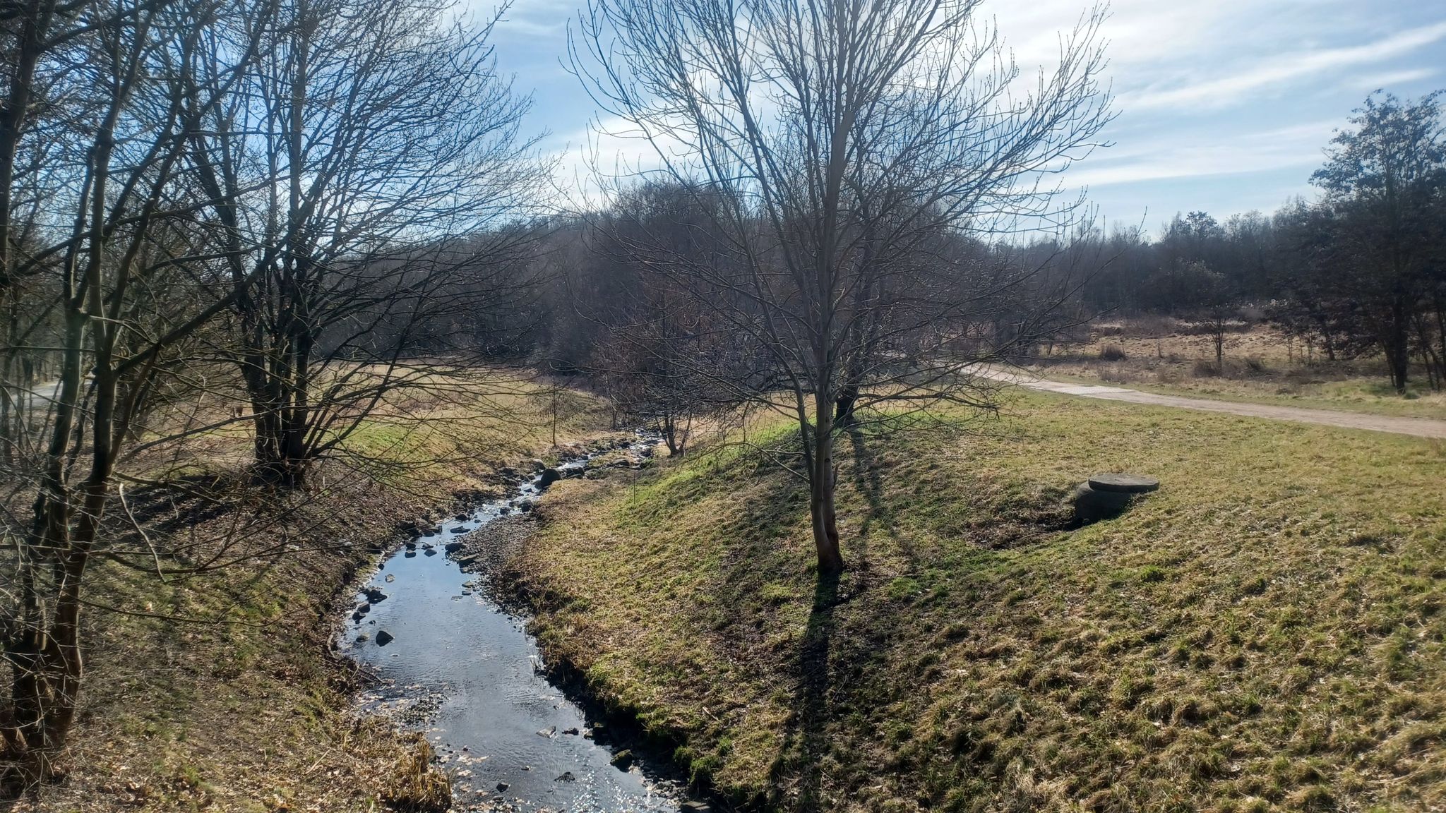 Wuhle - Wuhletalweg