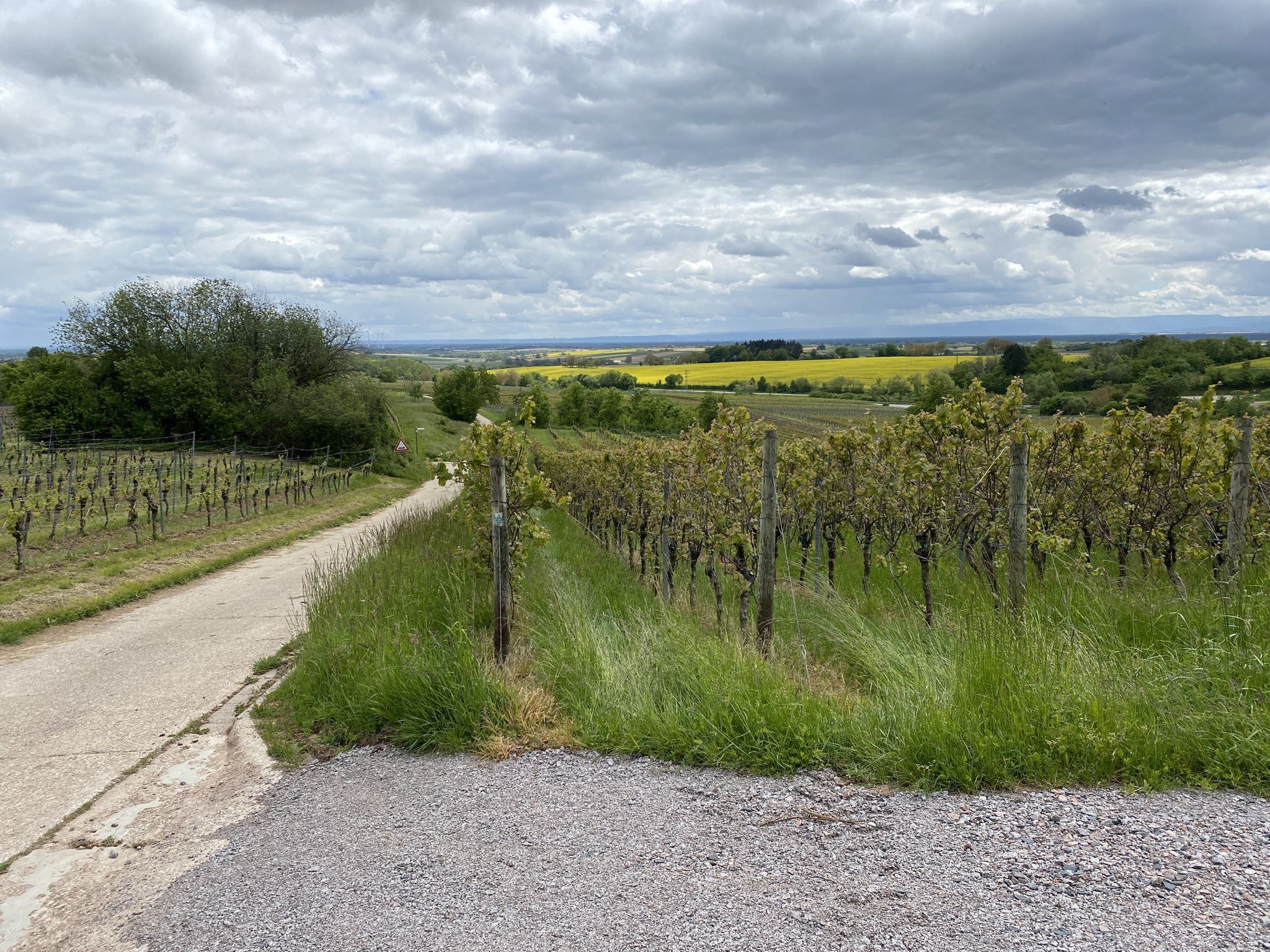 Blick ins Elsass
