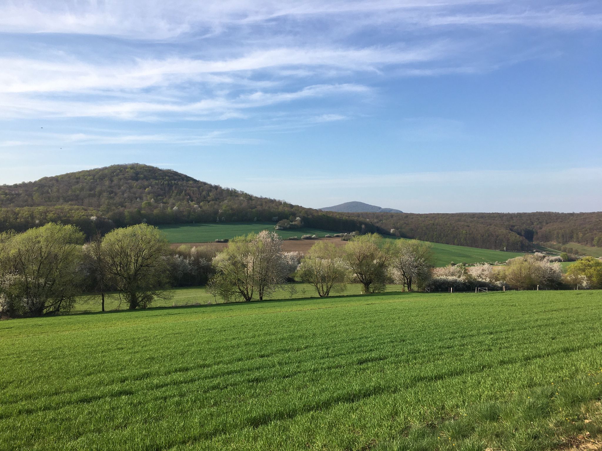 Was ist sie schön- die Kuppenrhön!