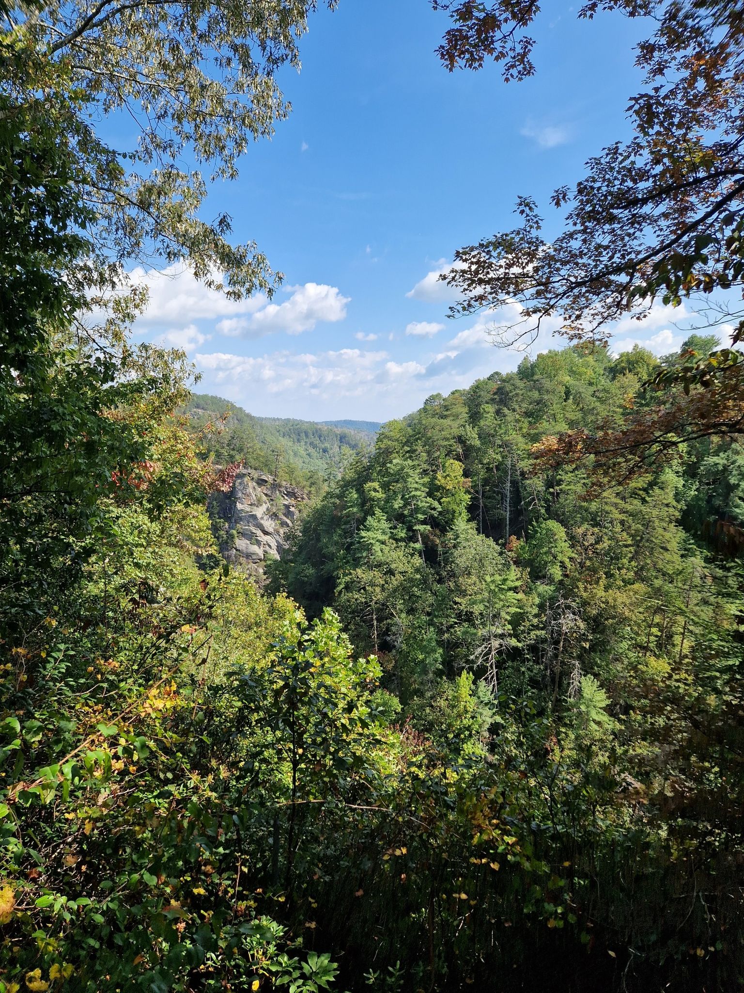 Lush green forest framing a distant view of a rocky canyon. - Shortline Trail loop from Terrora Hydroelectric Station