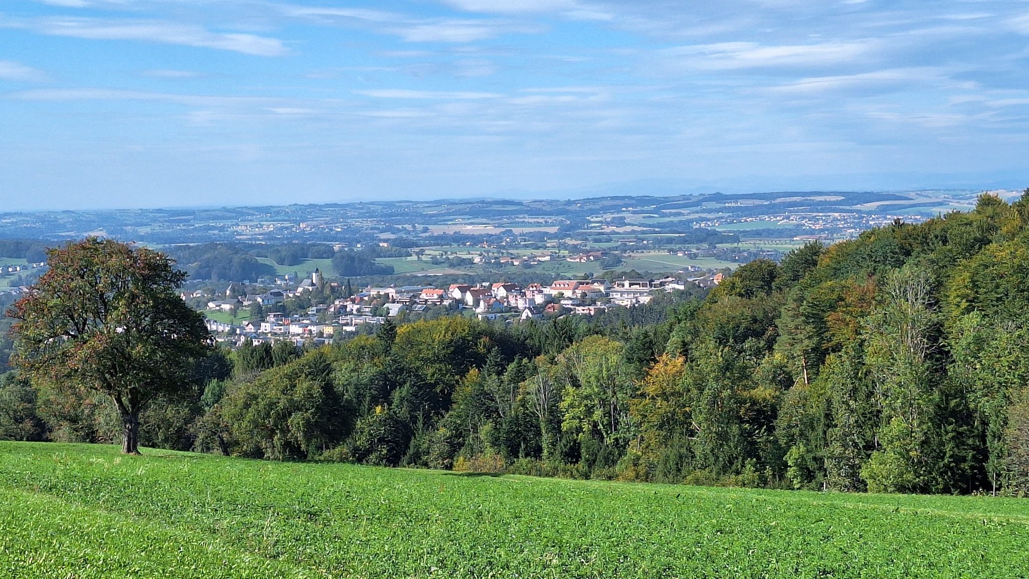 Allhartsberg