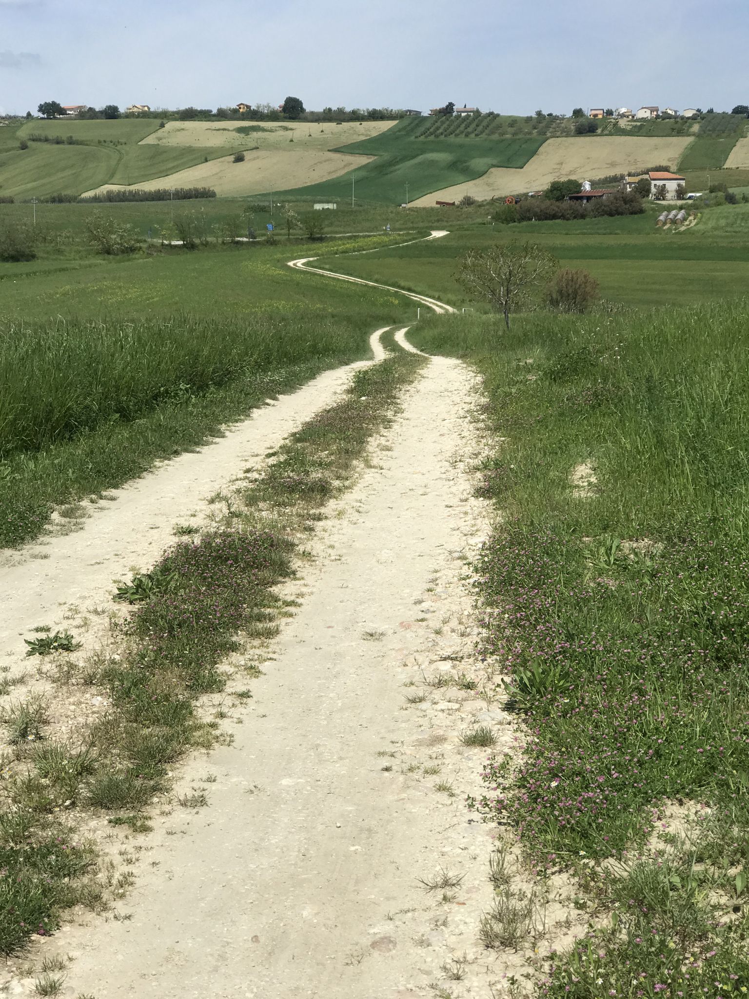 Contrada Solagna