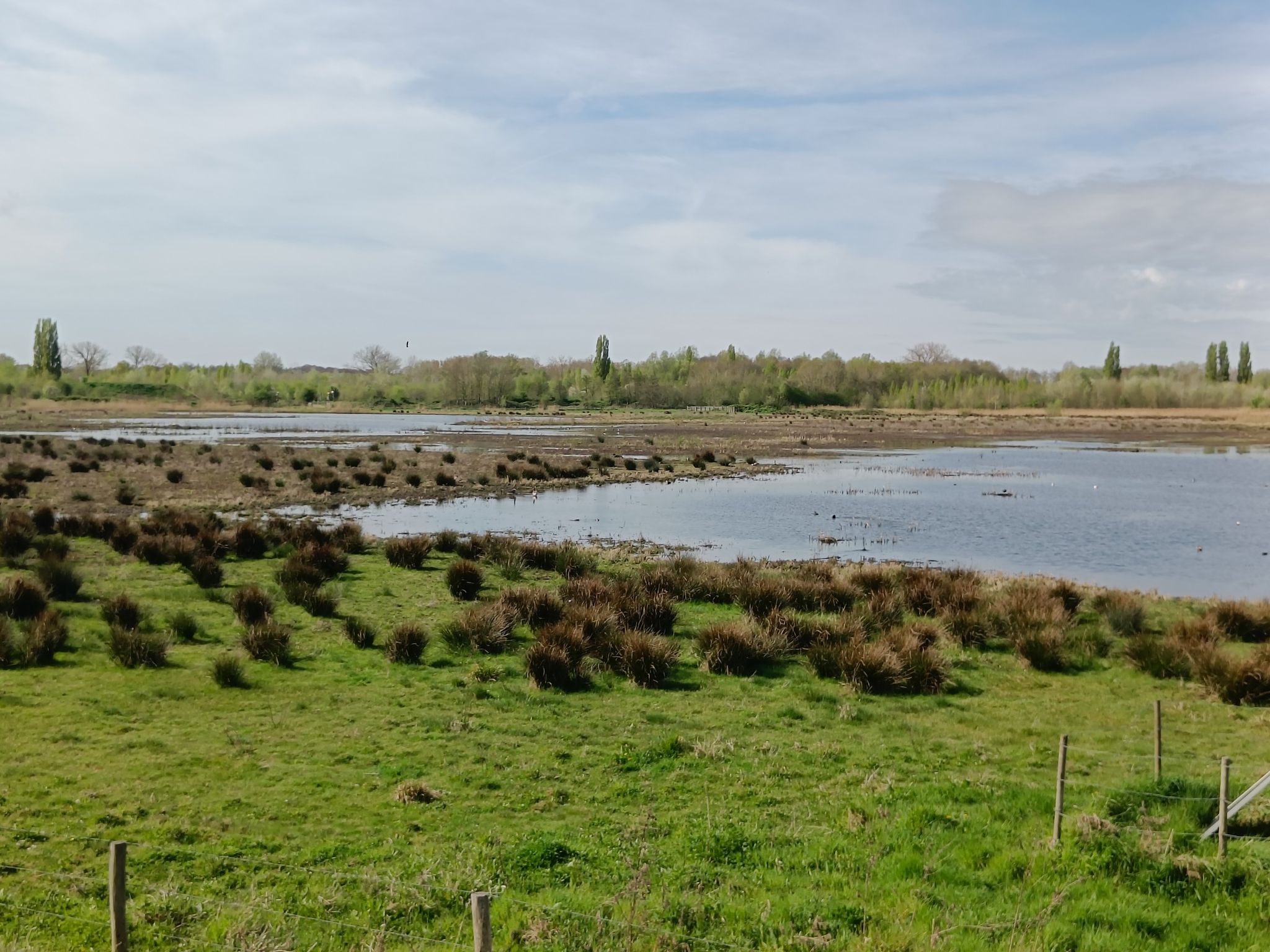 Gentbrugse Meersen
