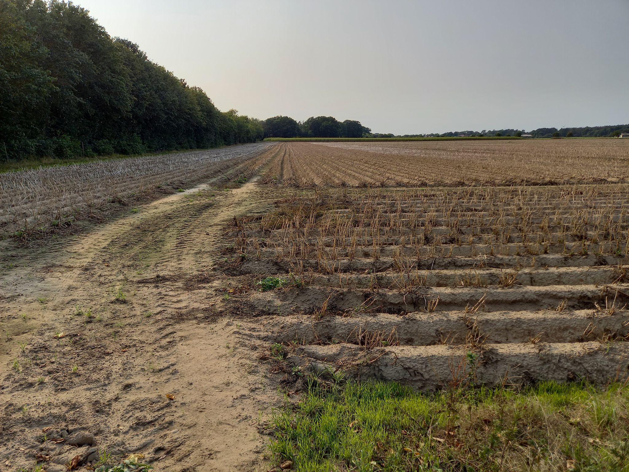 Kartoffelanbaugebiet