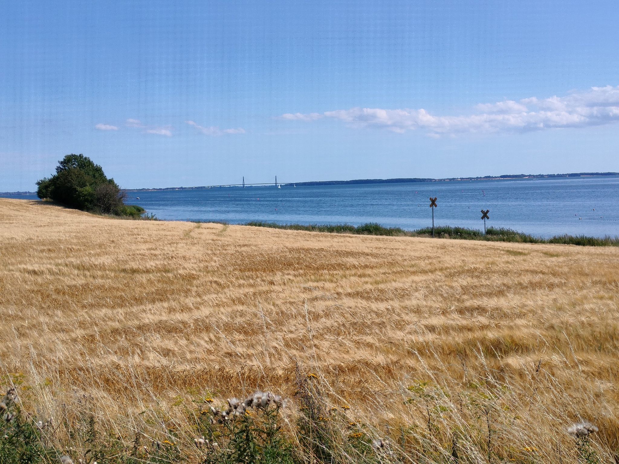 Vistas del mar desde la ciclovía