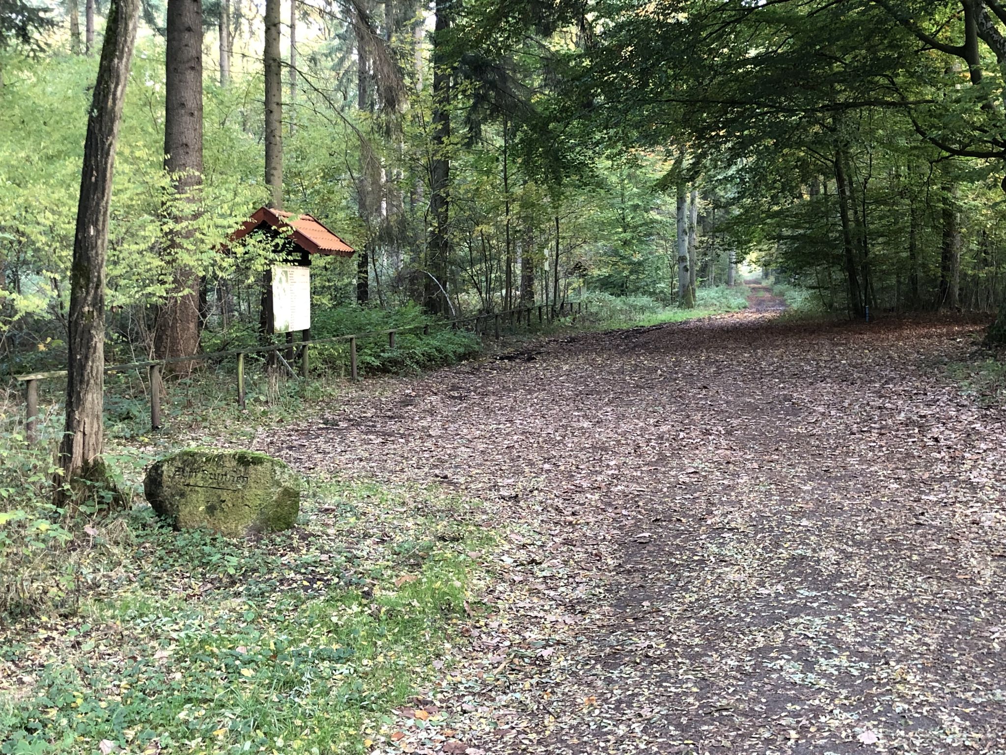 Gegenüber vom Jagdhaus gibt es einen geräumigen Waldparkplatz