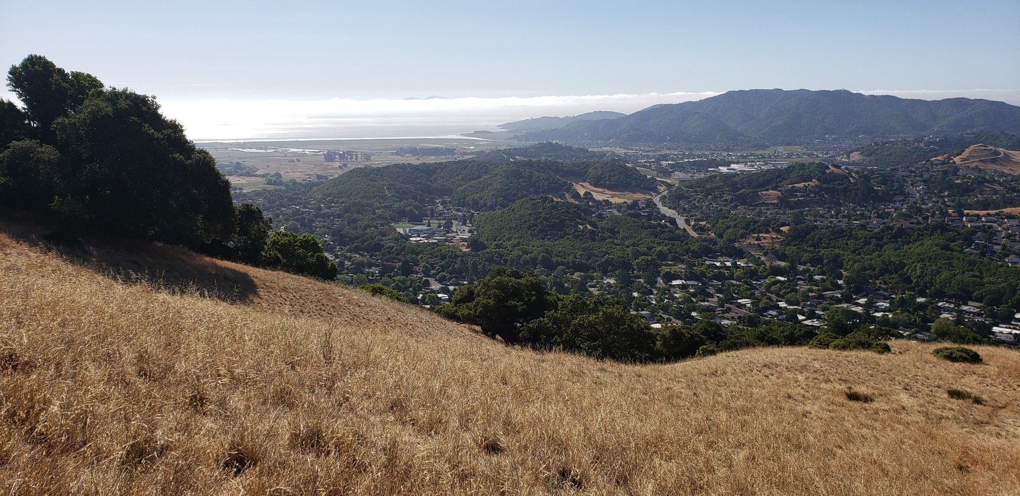 Panoramic view from a dry grassy hillside overlooking a town, mountains, and distant water. - Goat & Big Cat Trails loop — San Rafael
