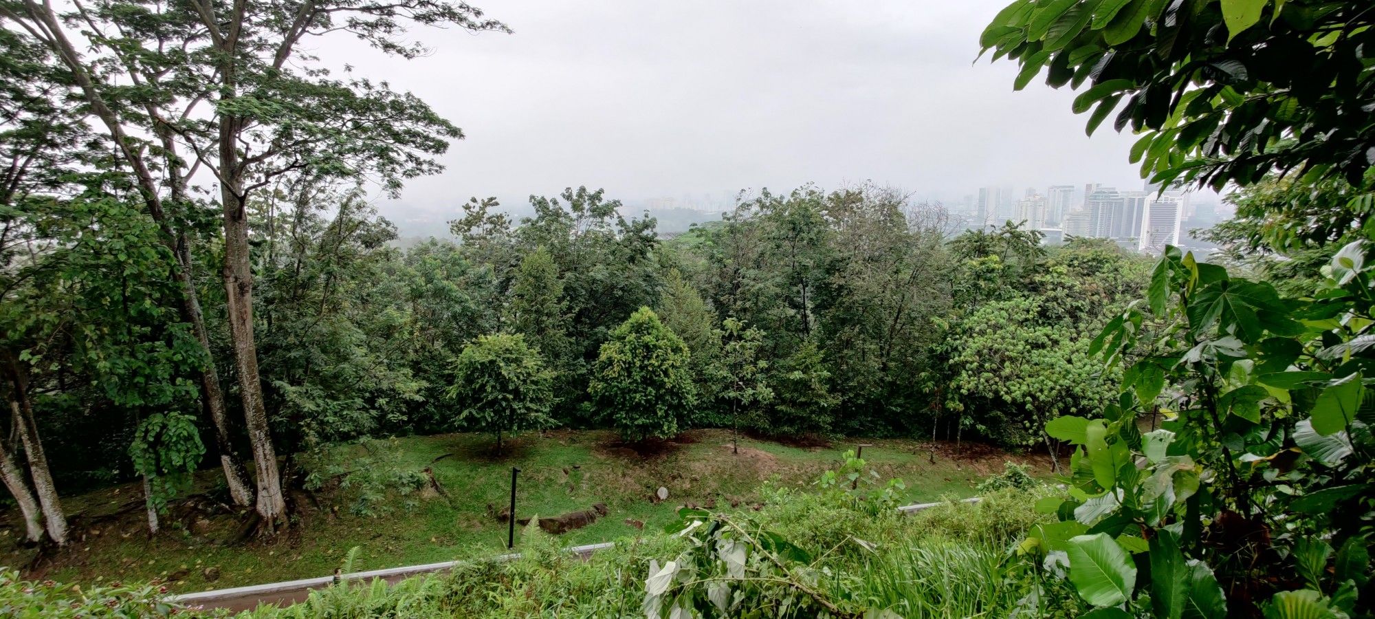 Berjaya trail lookout point