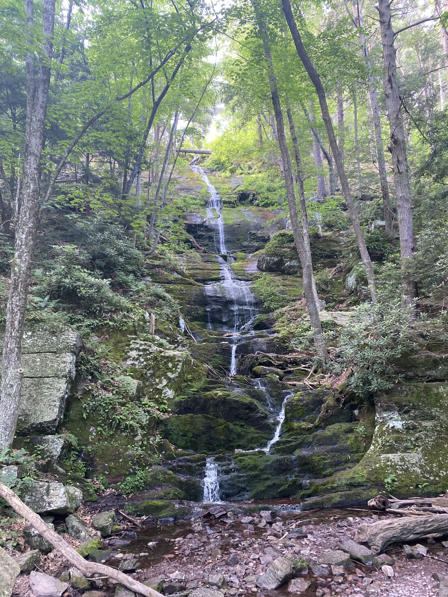 Waterfall flowing over a mossy rock face in a lush, green forest. - Buttermilk Falls loop from Wallpack Center