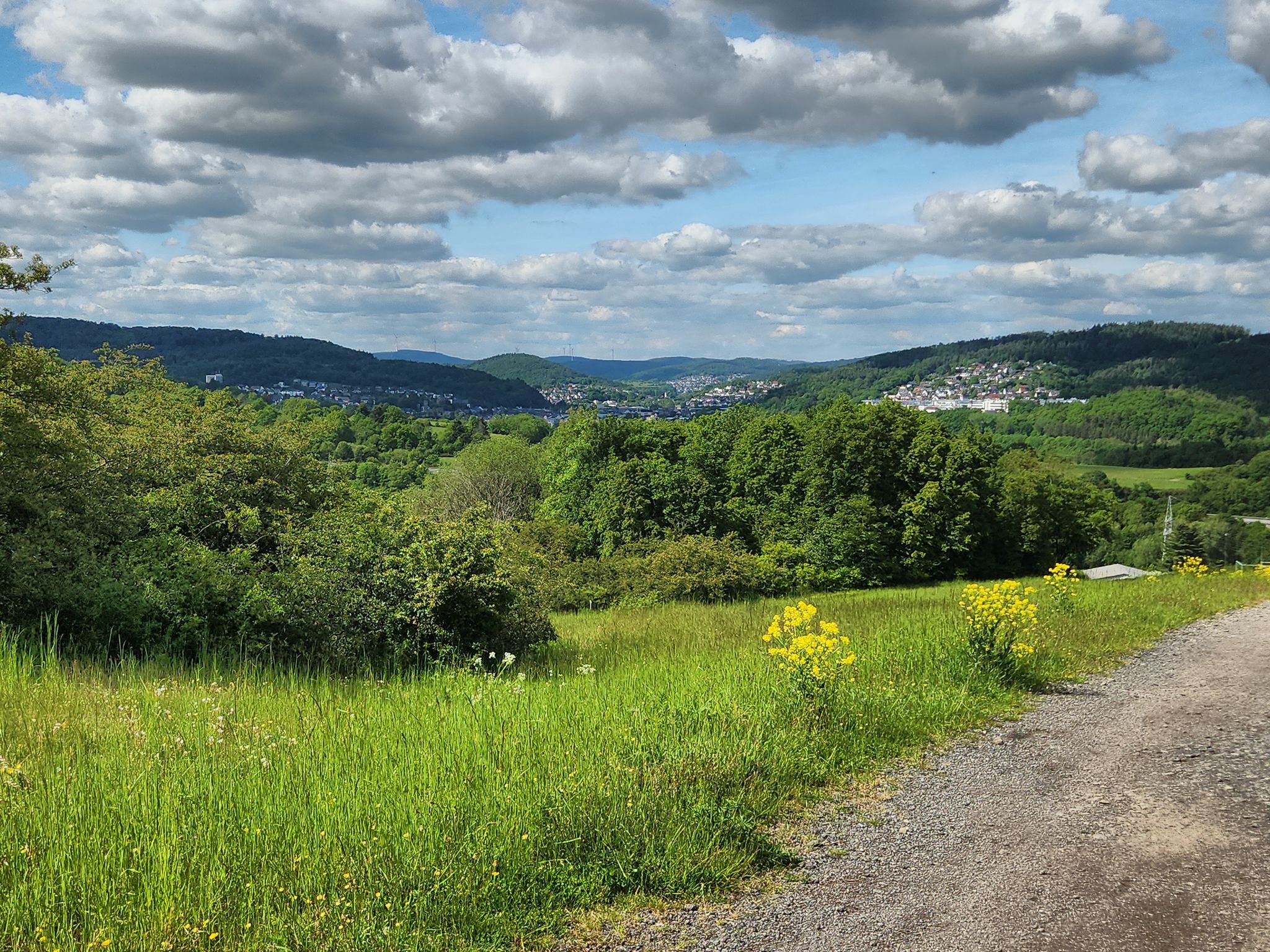 Blick über Herborn nach Burg