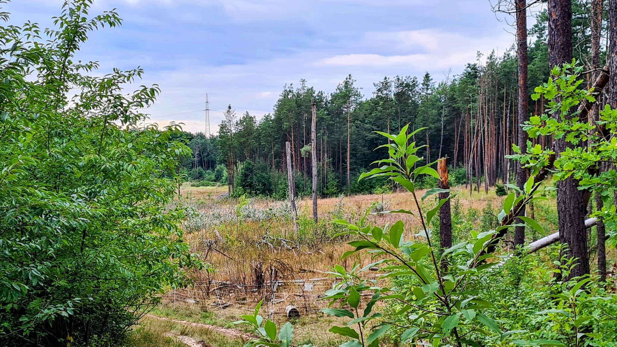 Die Grube ist ein Naturschutzgebiet