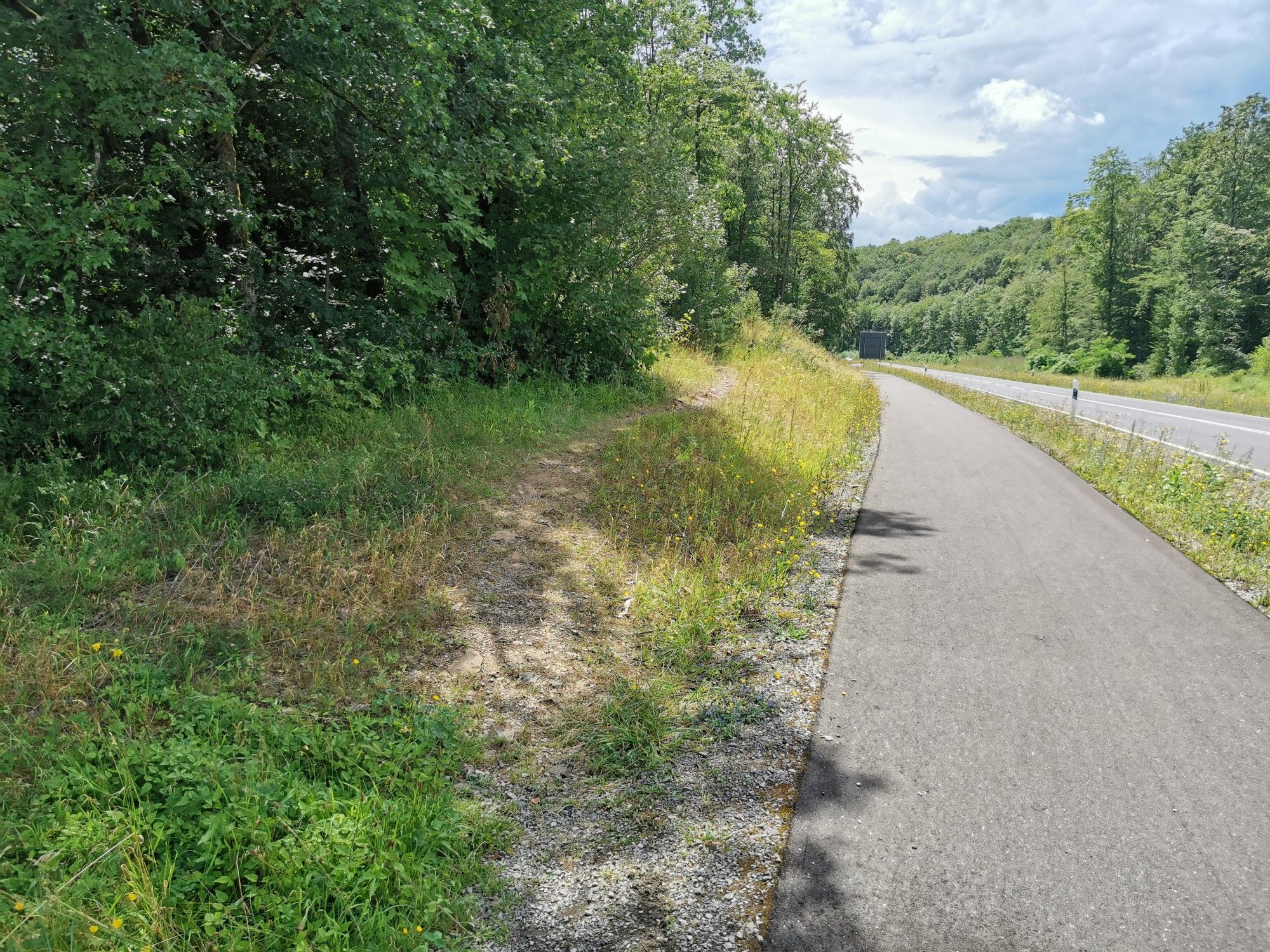 Auf zum Singletrail