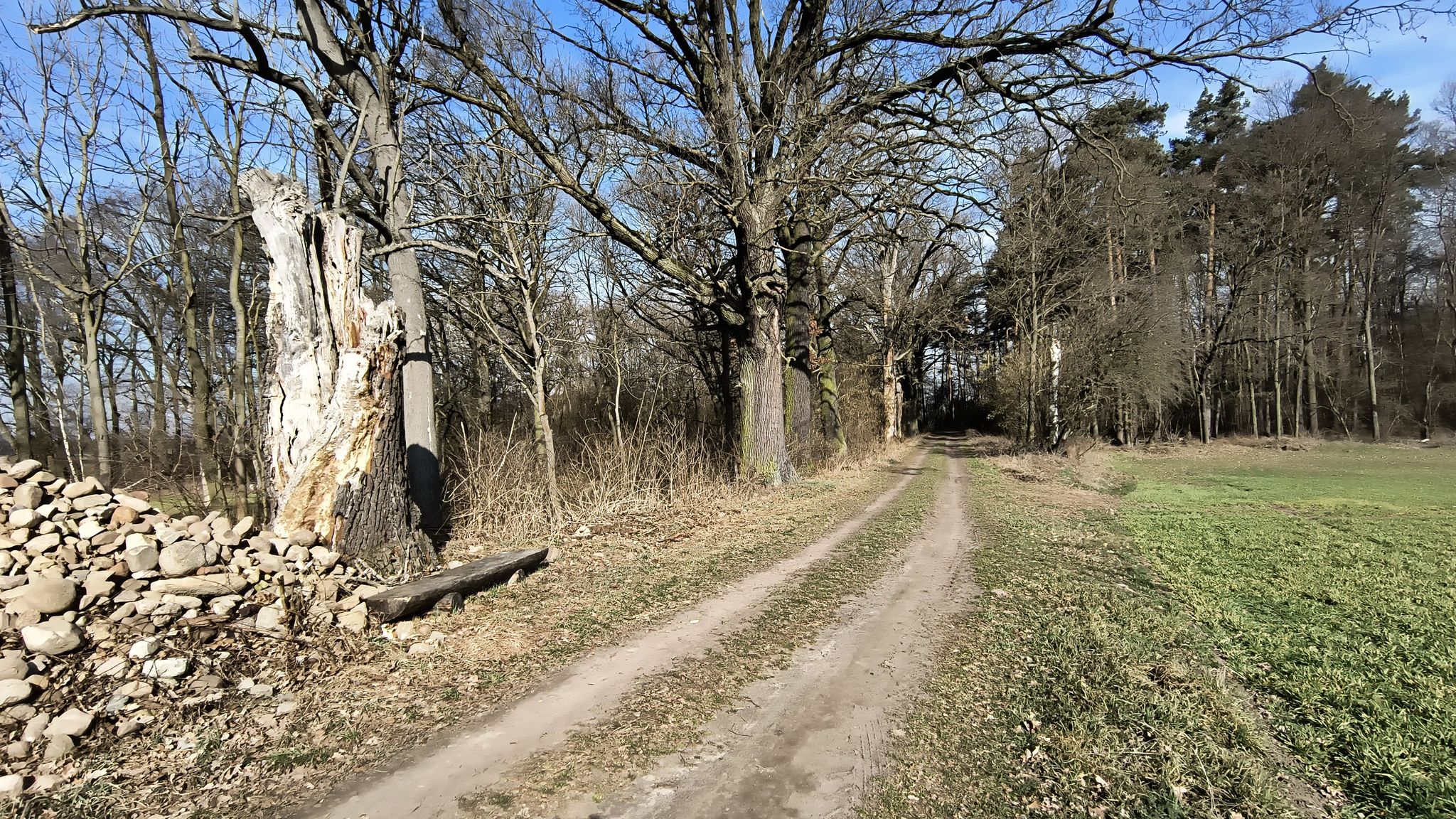 kolejne okazy