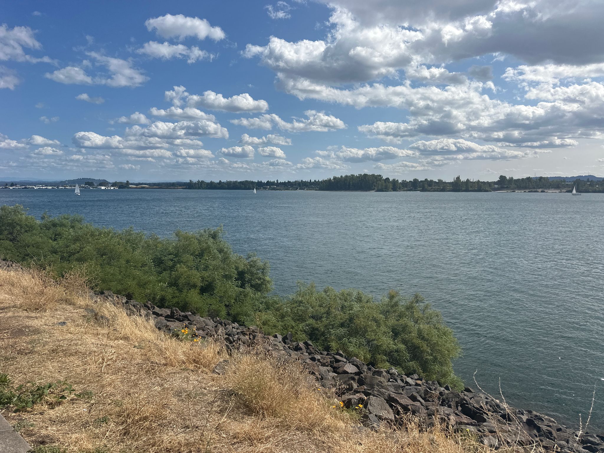 Wide river under a cloudy blue sky, with distant land and green bushes. - Fort Vancouver – Wintler Park loop from PeaceHealth Southwest Medical Center
