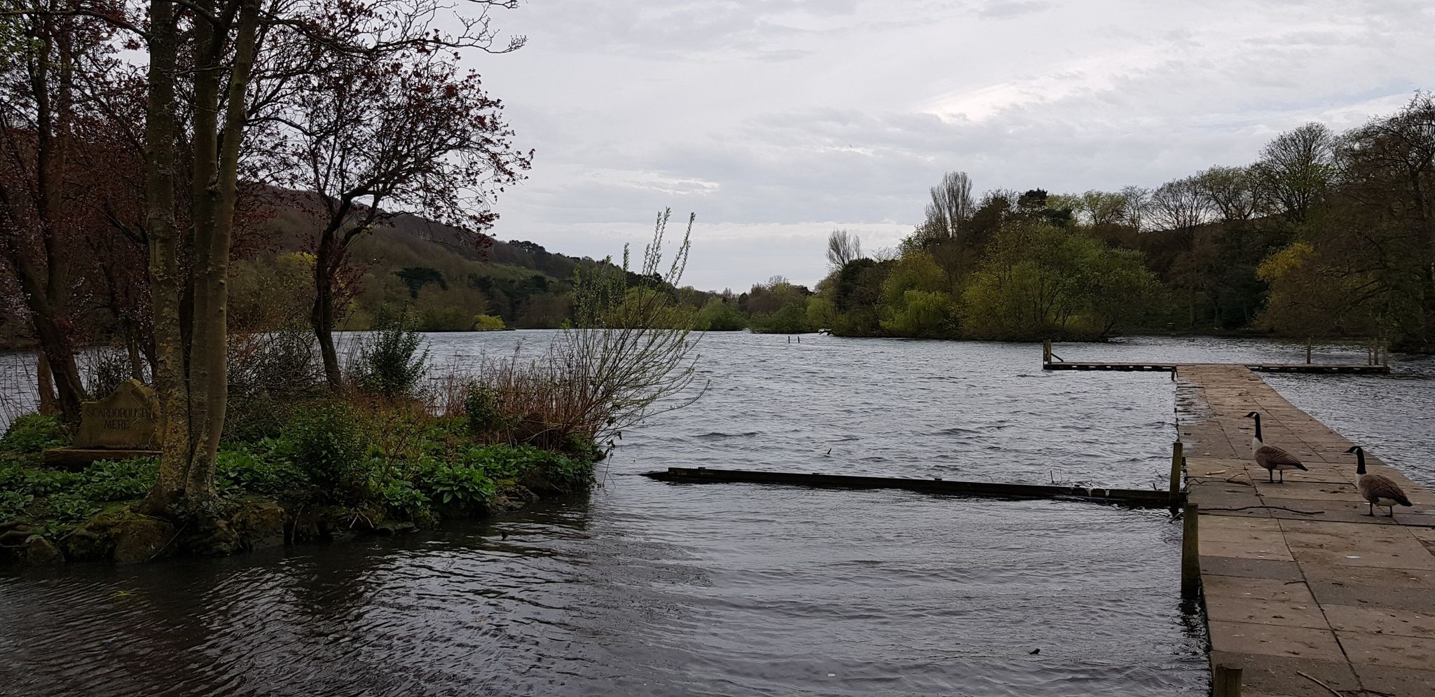 The Mere