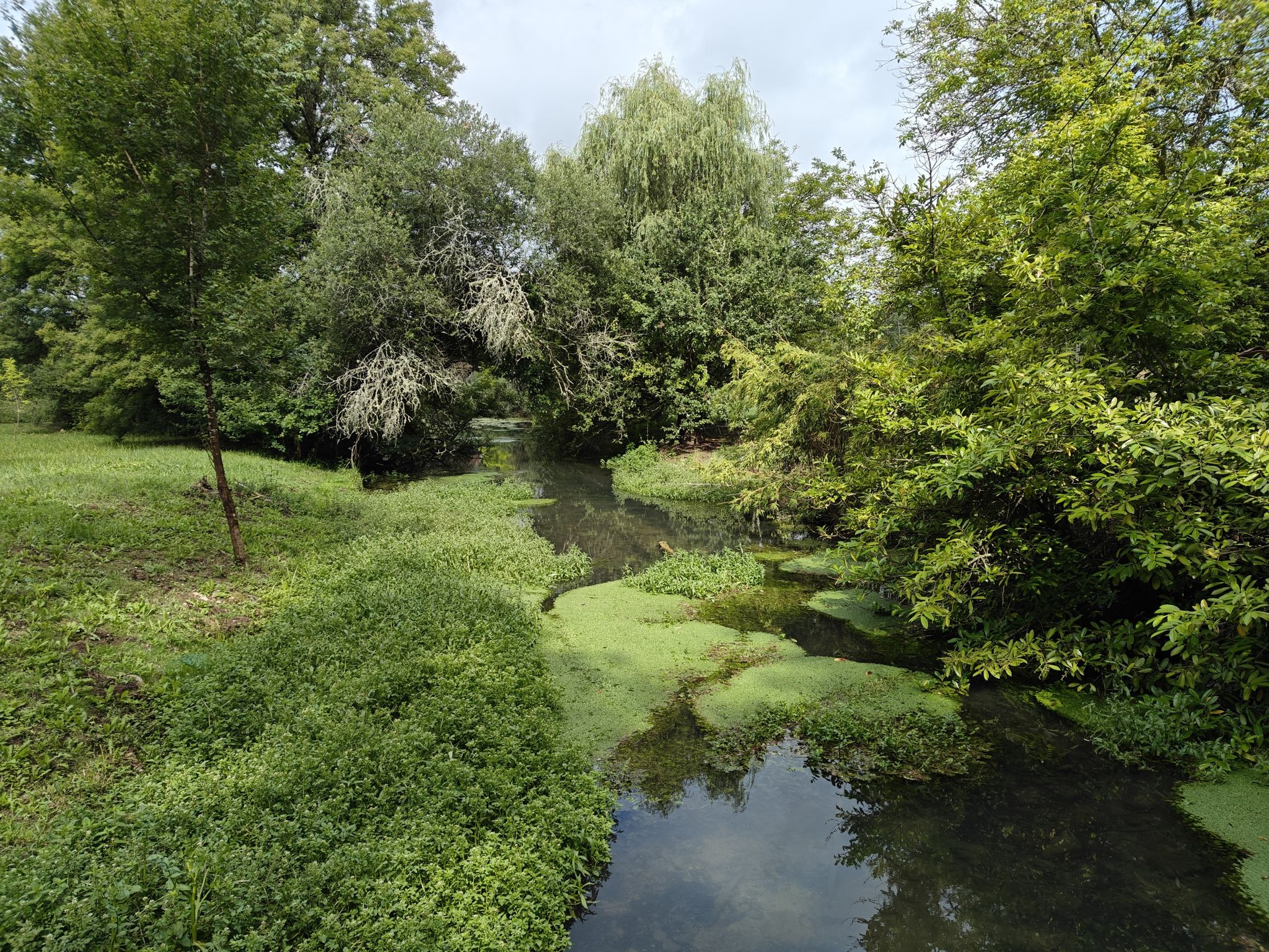 ruisseau de la Masse