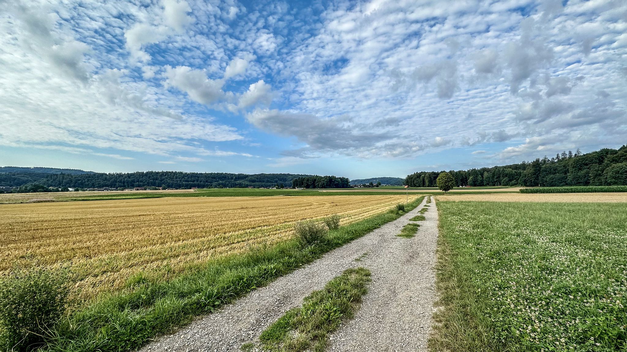 ...Richtung Bettenhausen...