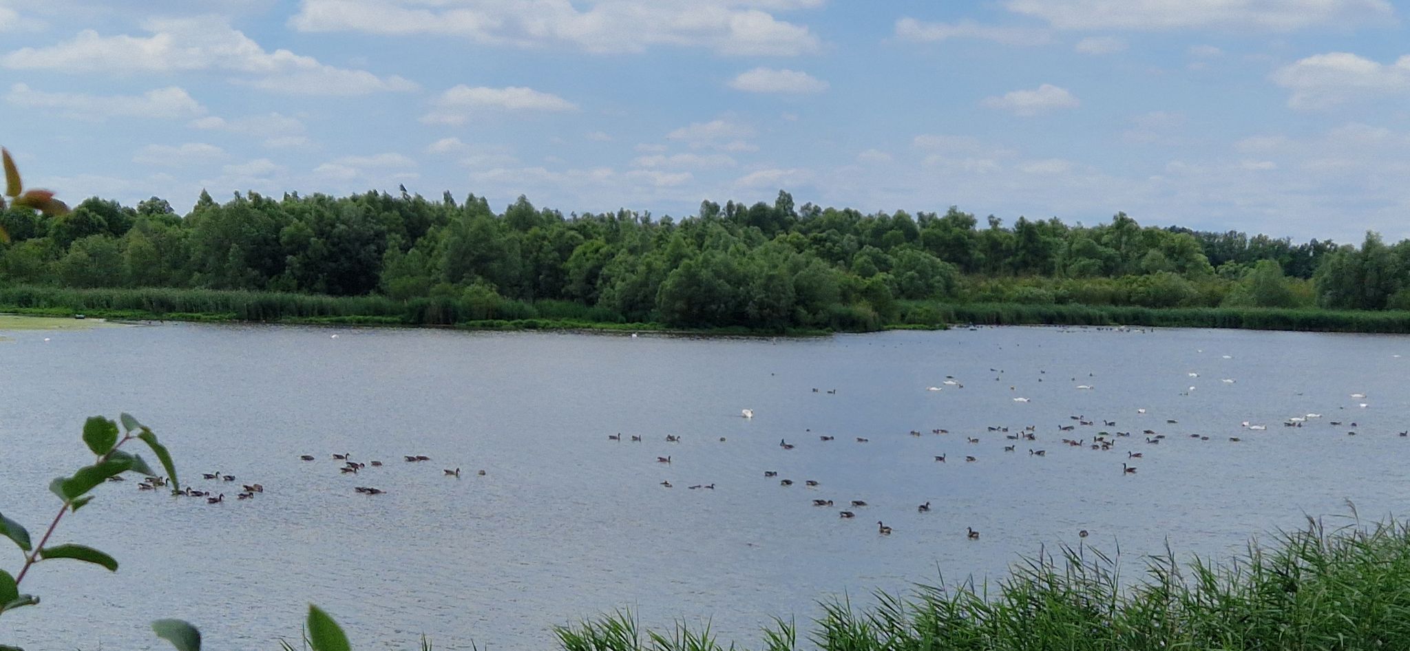Stausee bei Fockendorf