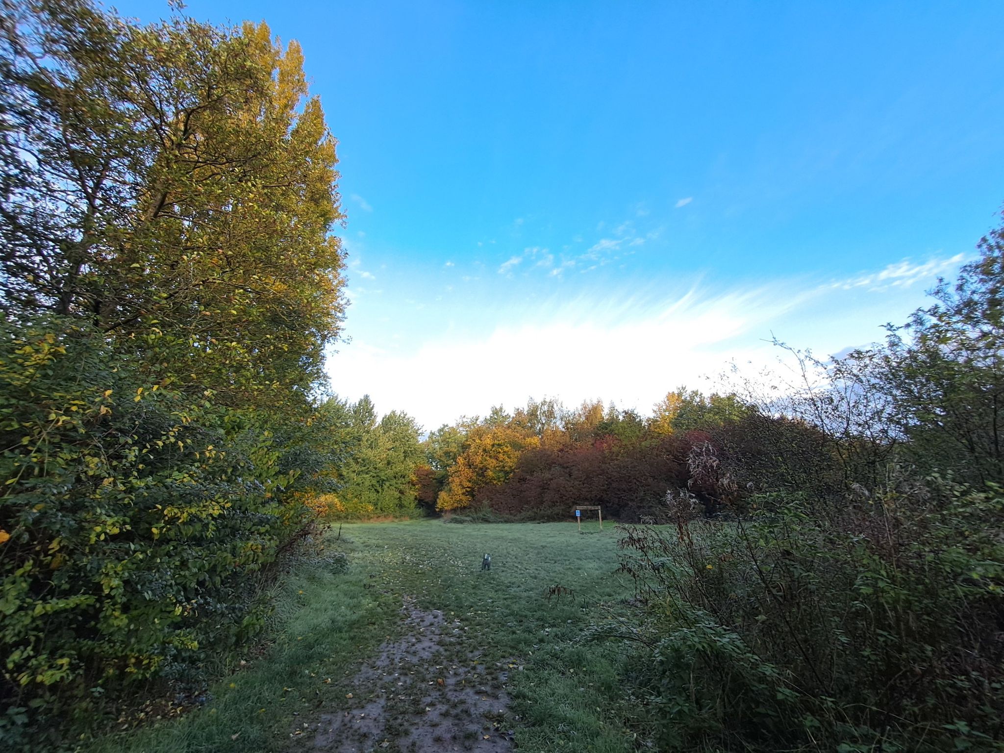 morning at Netherclay