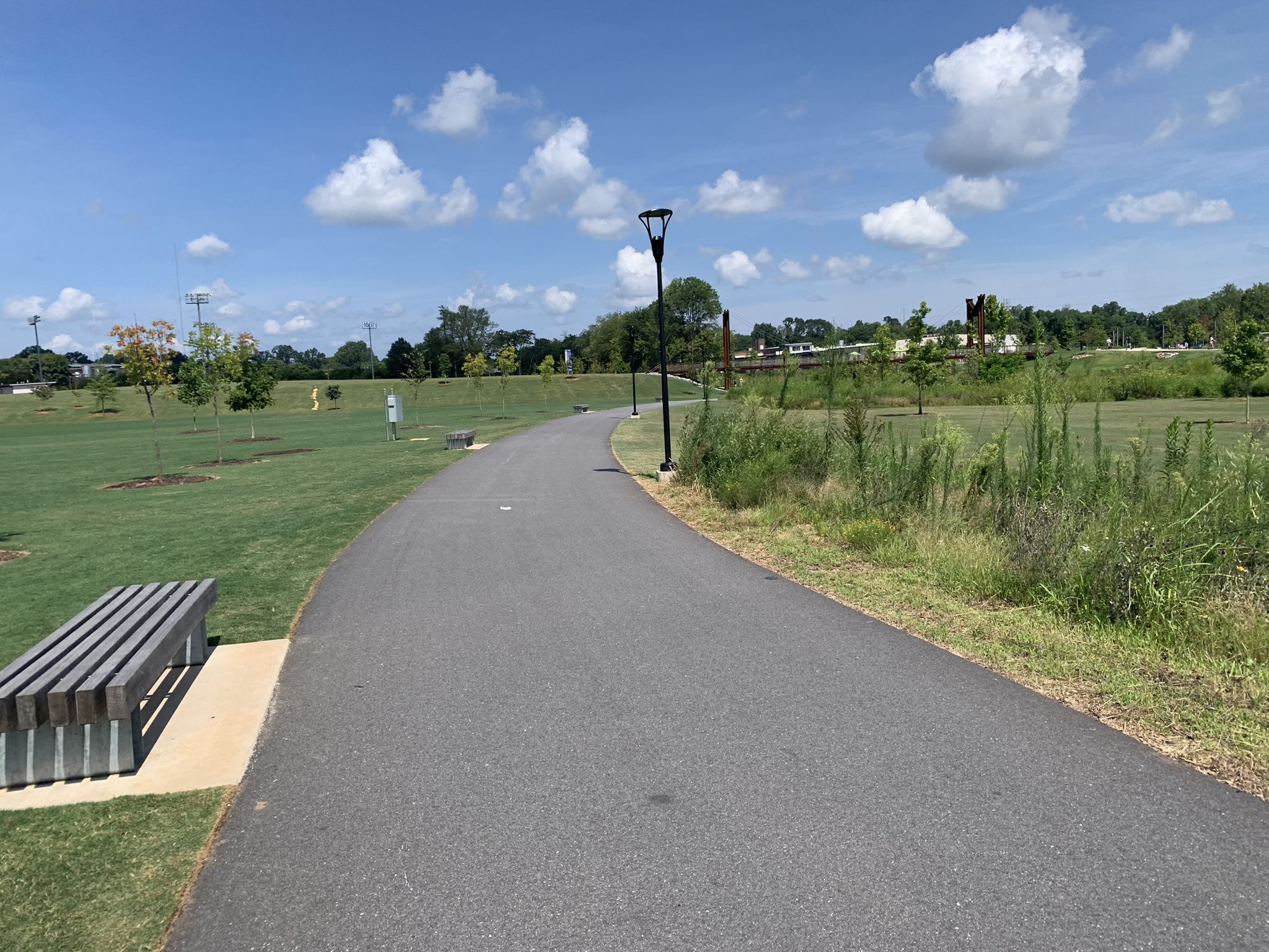 Paved path curving through a sunny green park with a wooden bench. - Prisma Health Swamp Rabbit Trail
