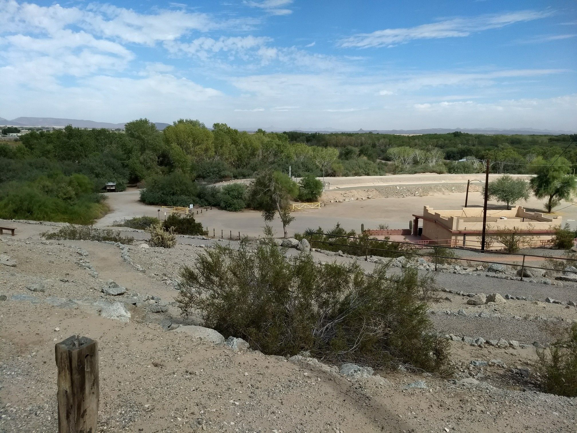 Arid landscape with green trees, sandy paths, and distant buildings under a blue sky. - East Main Canal Path and Yuma Crossing Path gravel loop