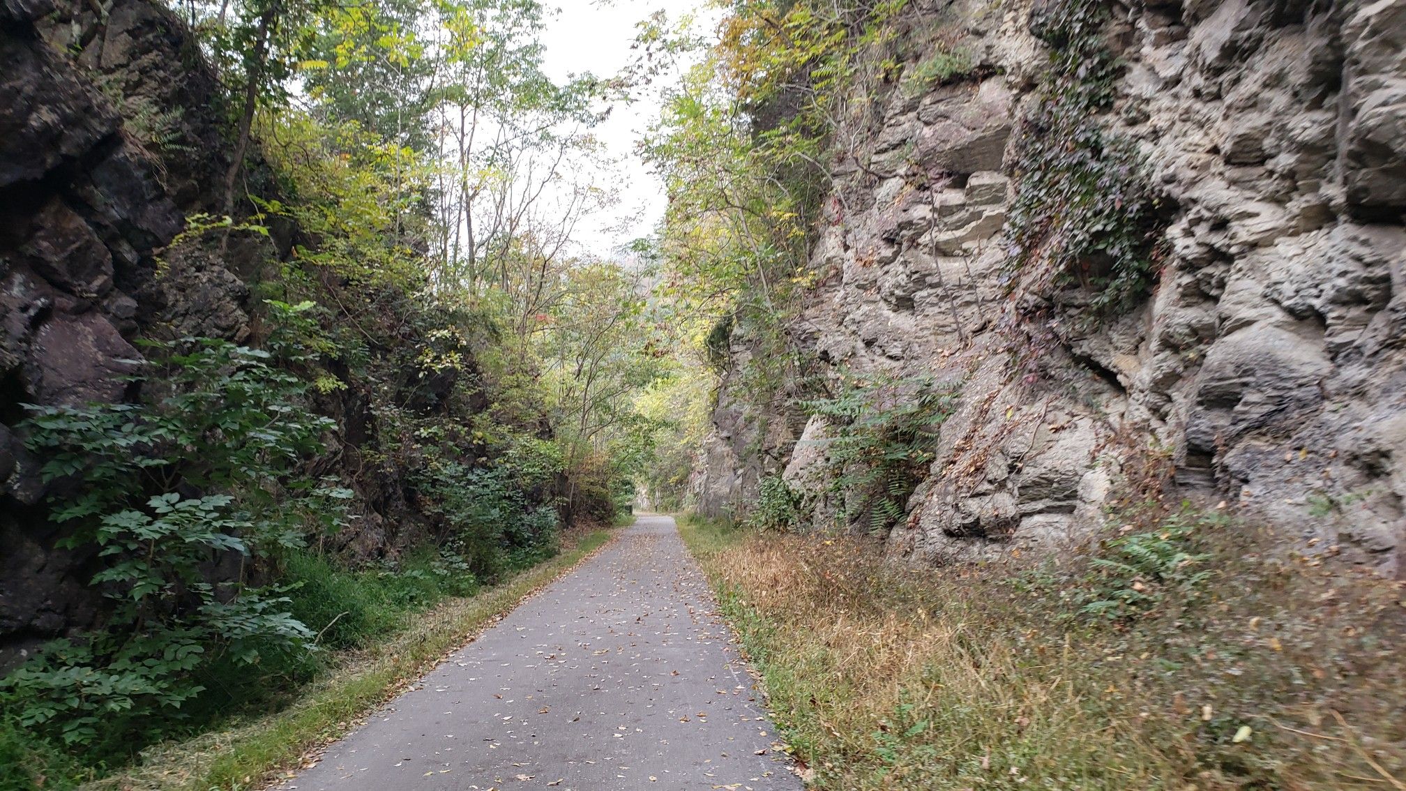 A paved path winds through a narrow gorge with rocky walls. - Paw Paw Tunnel – Round Top Cement Mill loop from Little Orleans