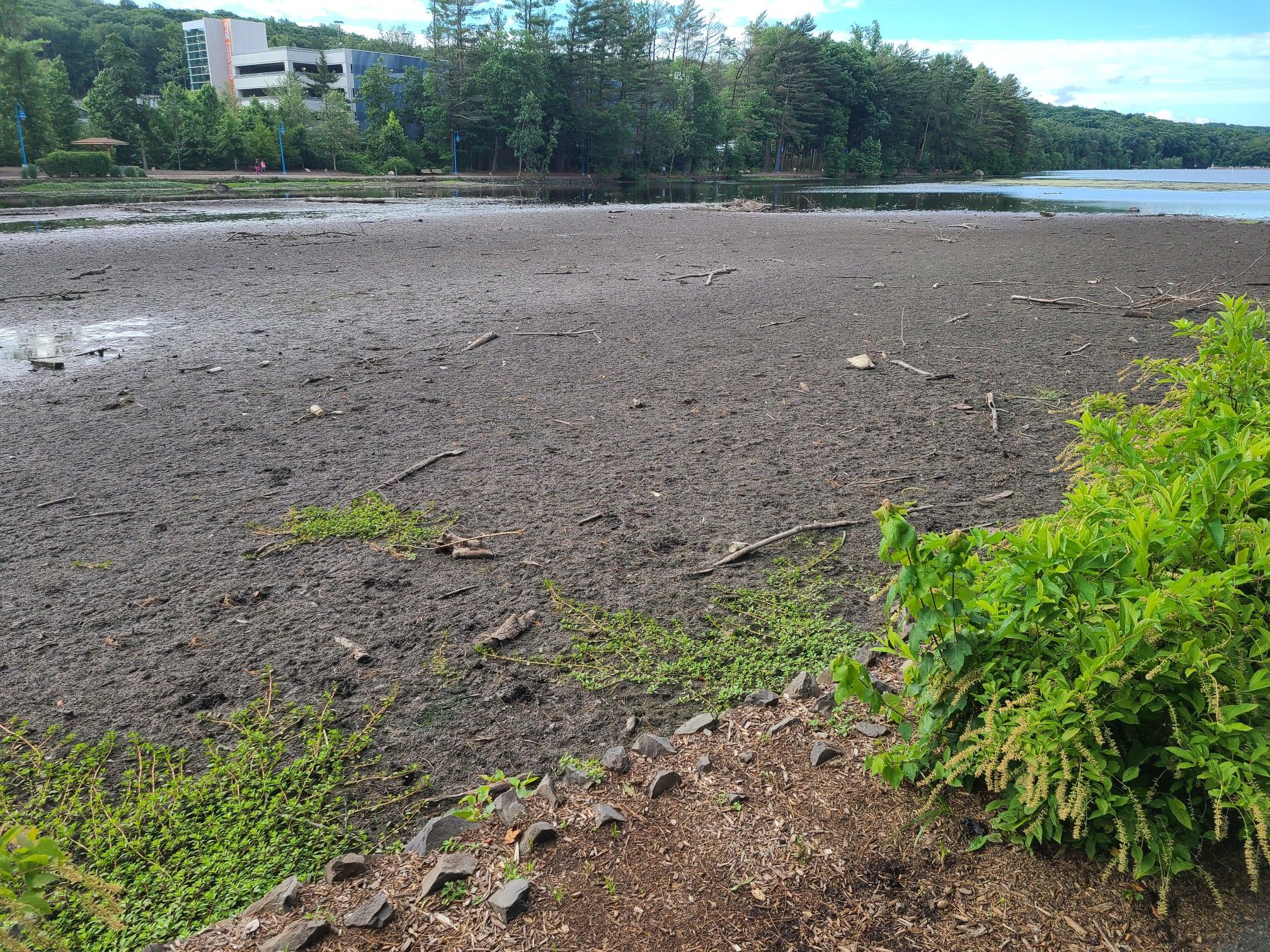 Expansive dry, muddy lakebed with scattered debris and green plants. - Orange Reservoir and Zoo Loop