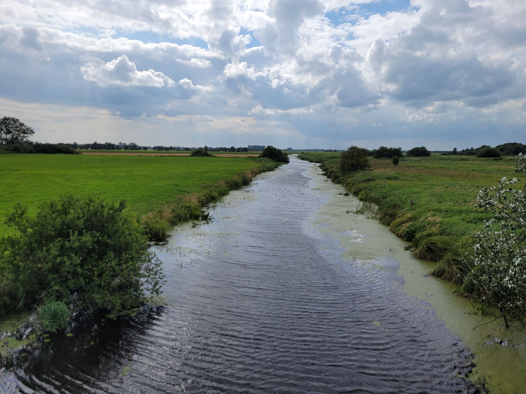 Über die Rinne entwässert der Hohner See zur Sorge und weiter in die Eider.