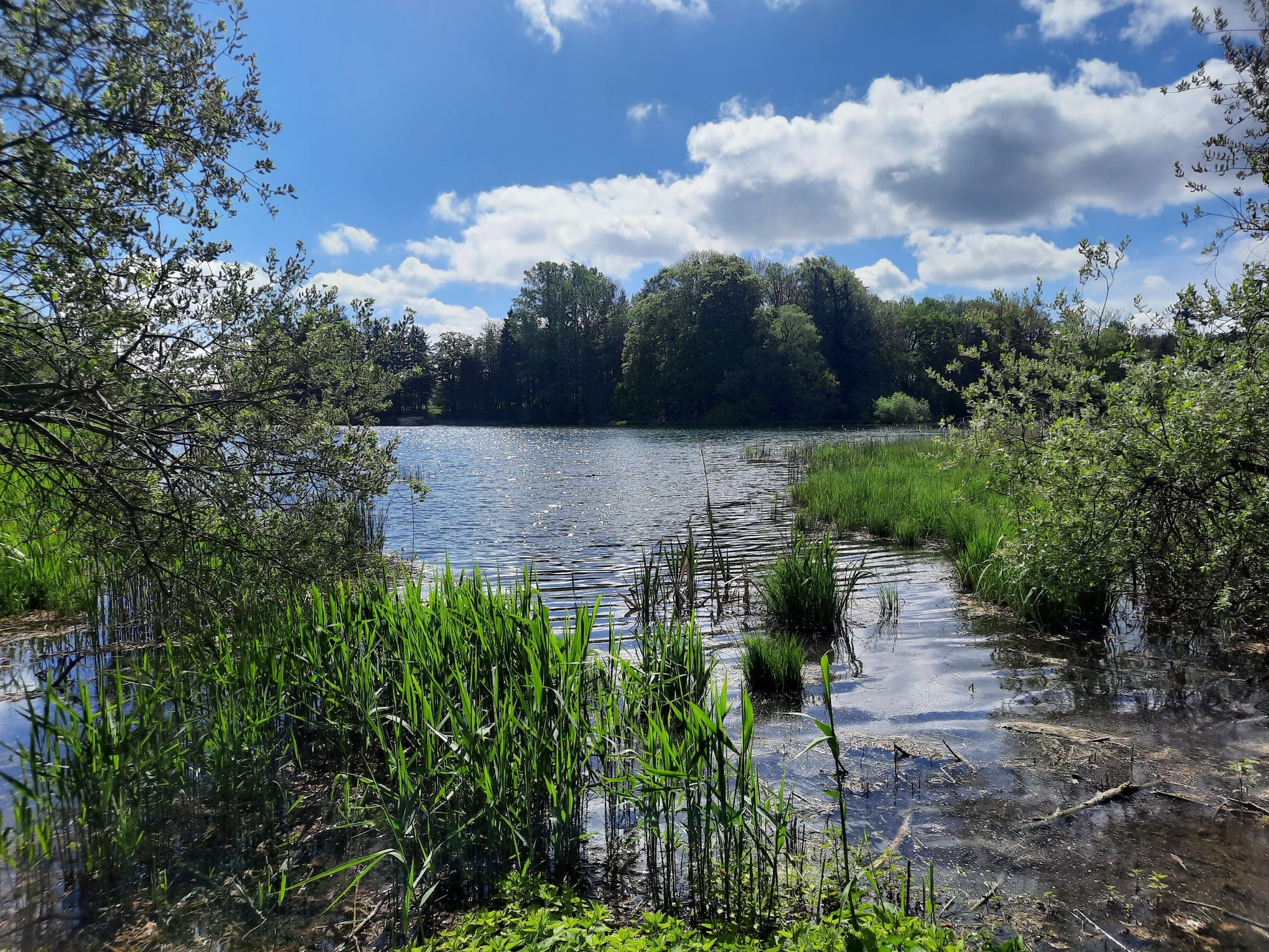 Weiher