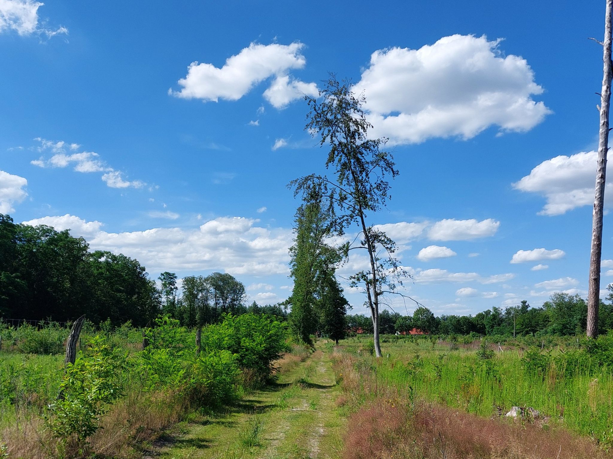 Rückweg lieber Waldwege, um Stau zu umfahren.