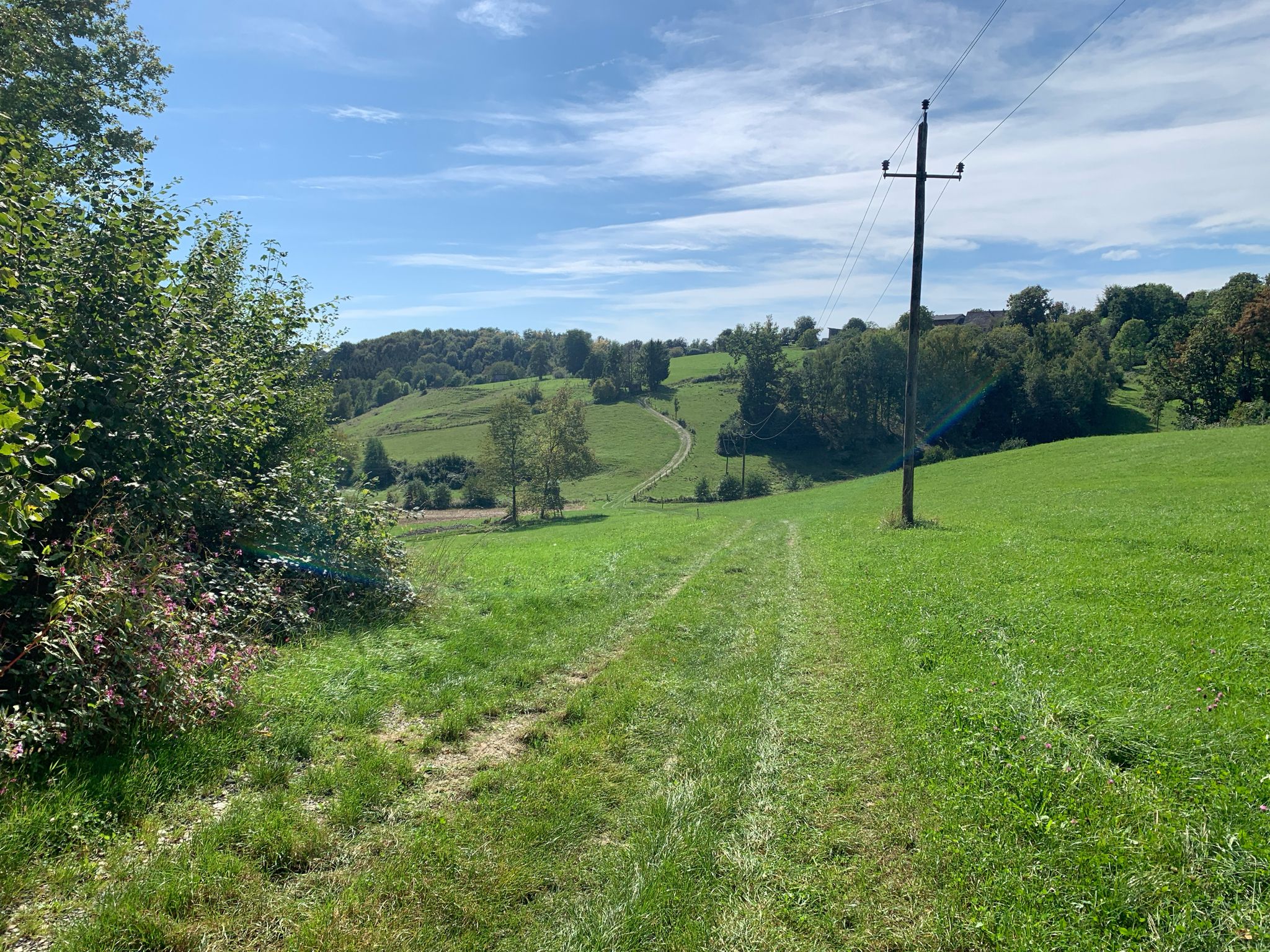 Mountainbike-Abschnitt