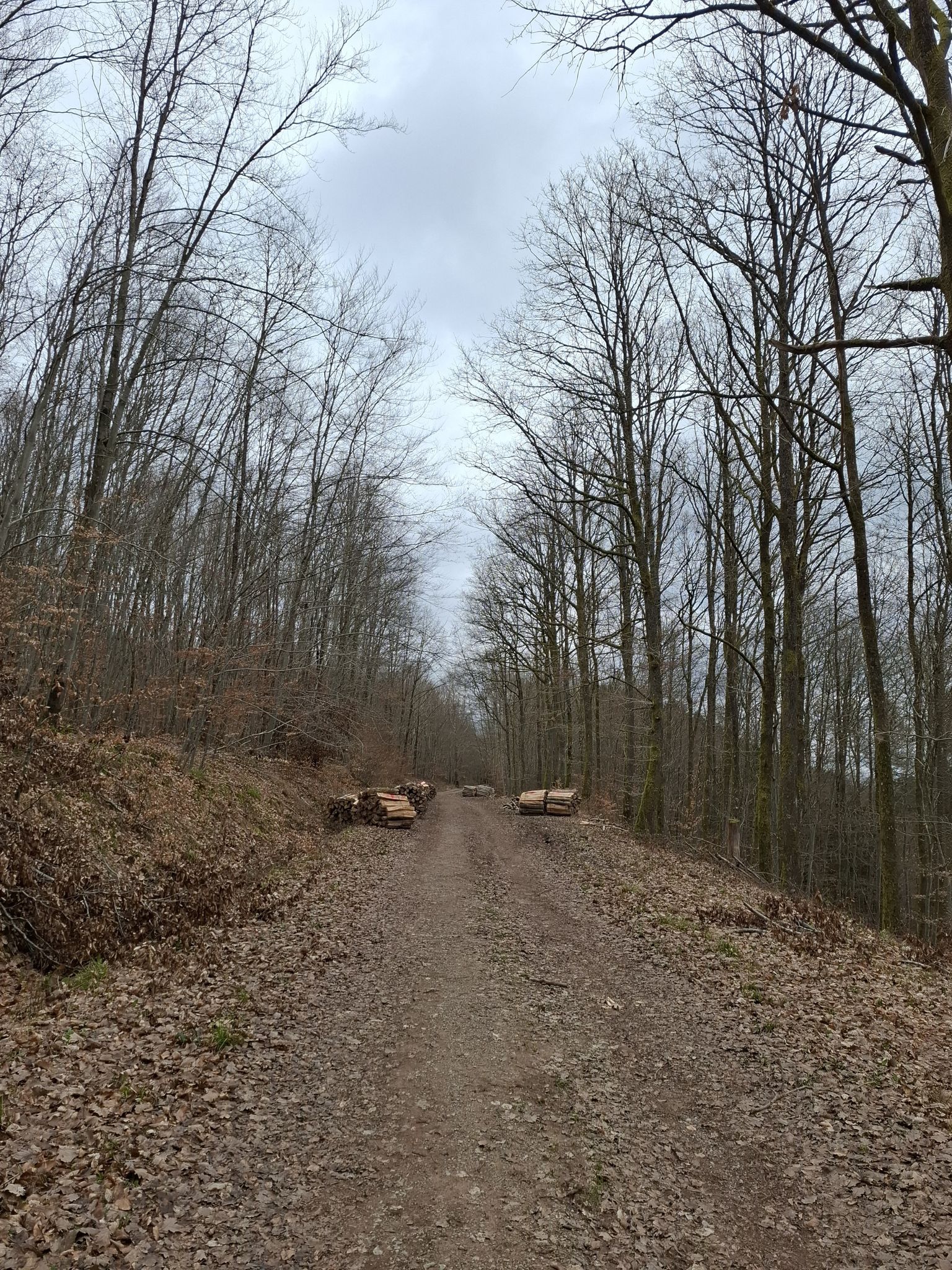 Sandweg