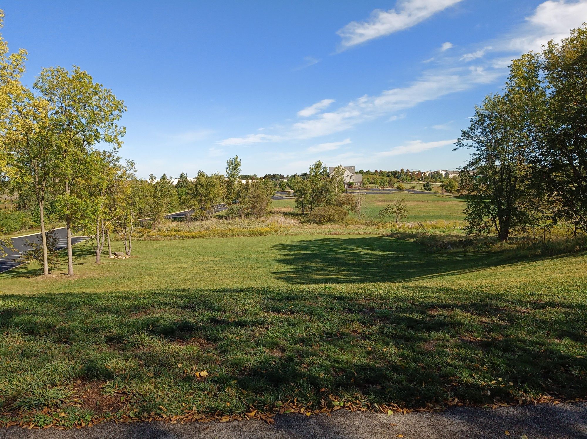 A wide green field with scattered trees under a bright blue sky. - Millennium Trail (Volo) loop from Round Lake