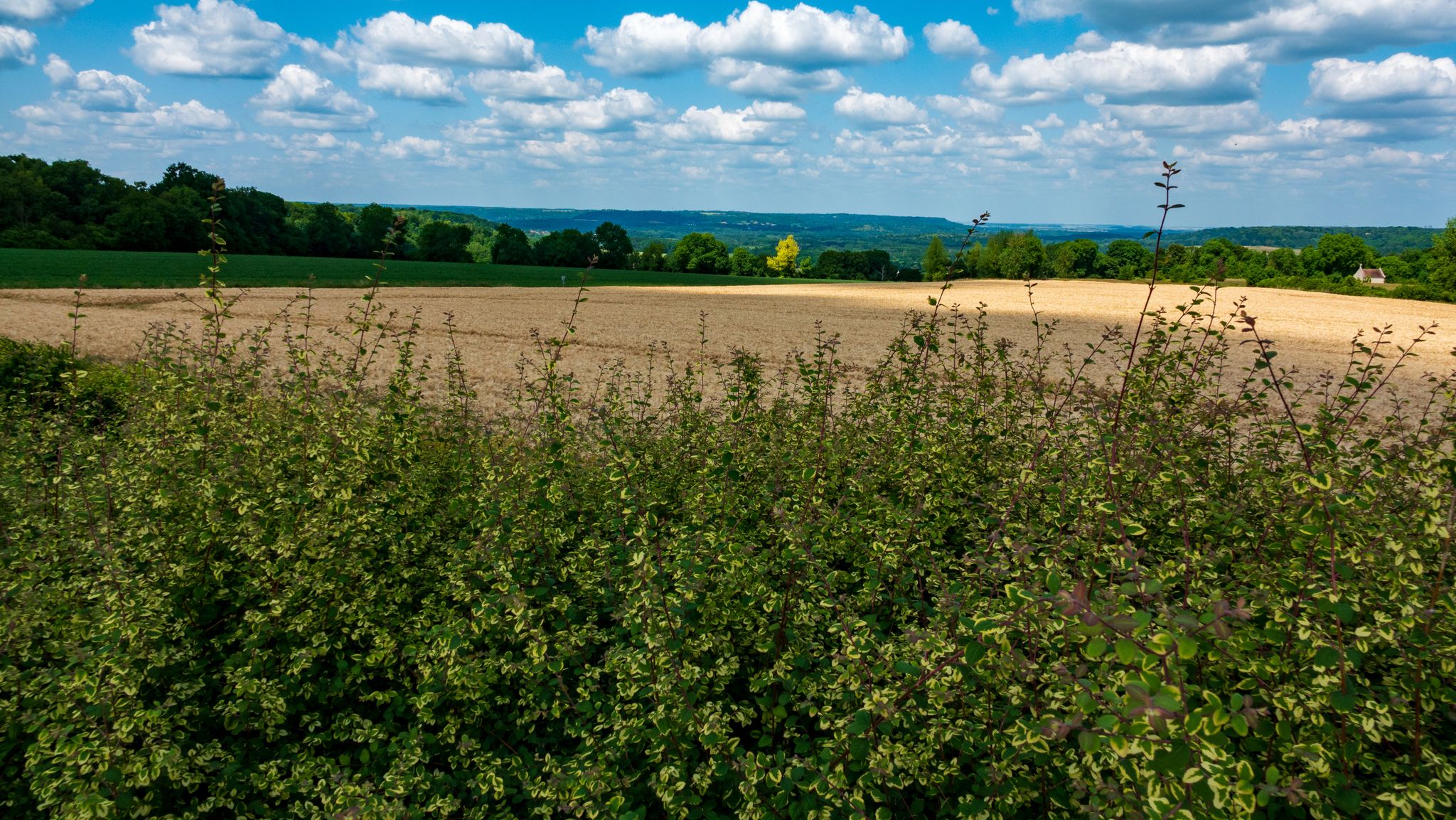 Panorama de La Royère, Chemin des Dames