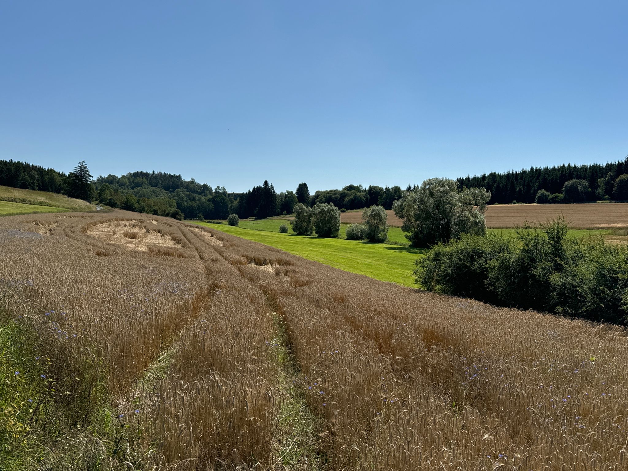 Eindrücke am Wanderweg