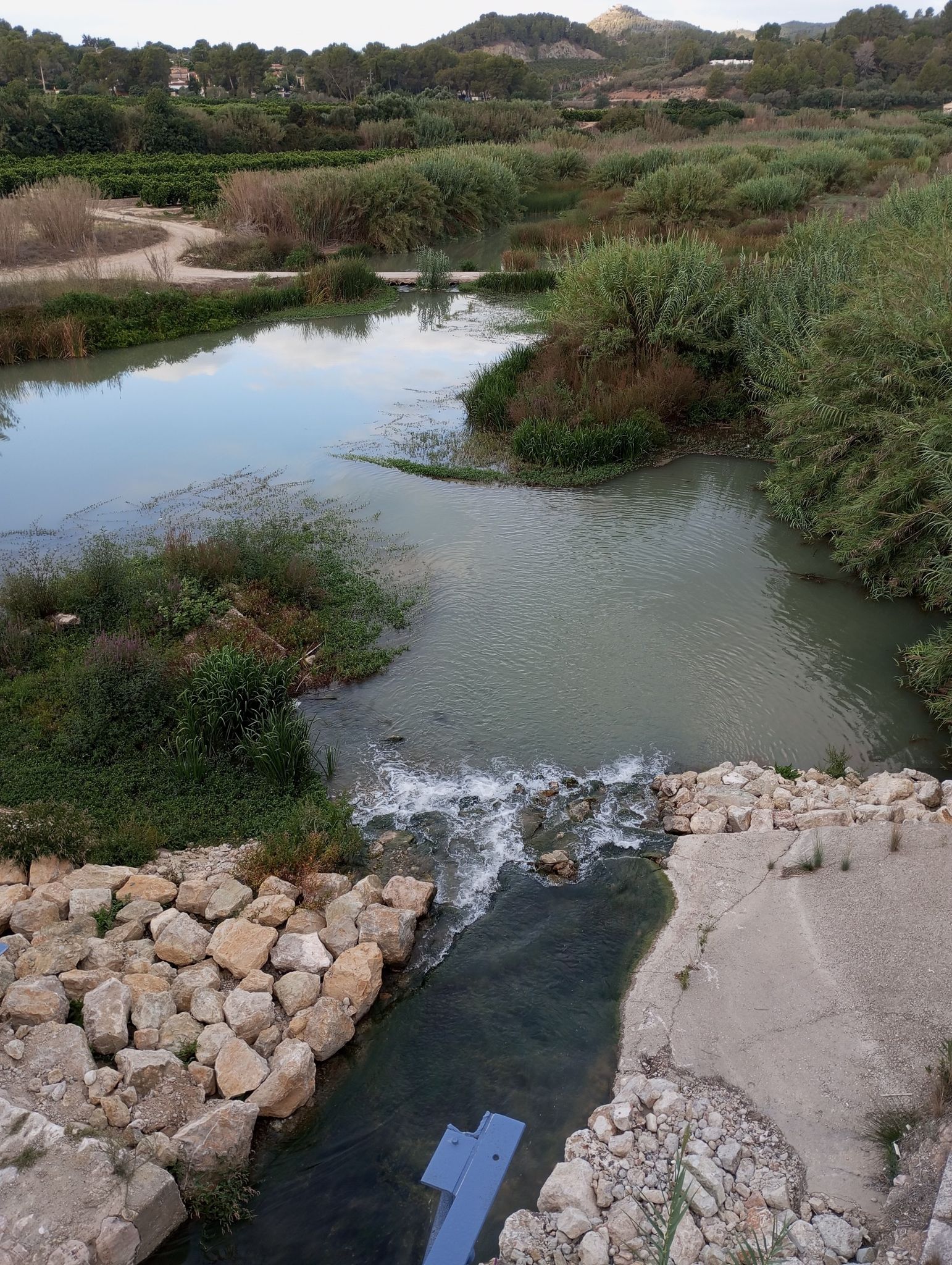 río Albaida