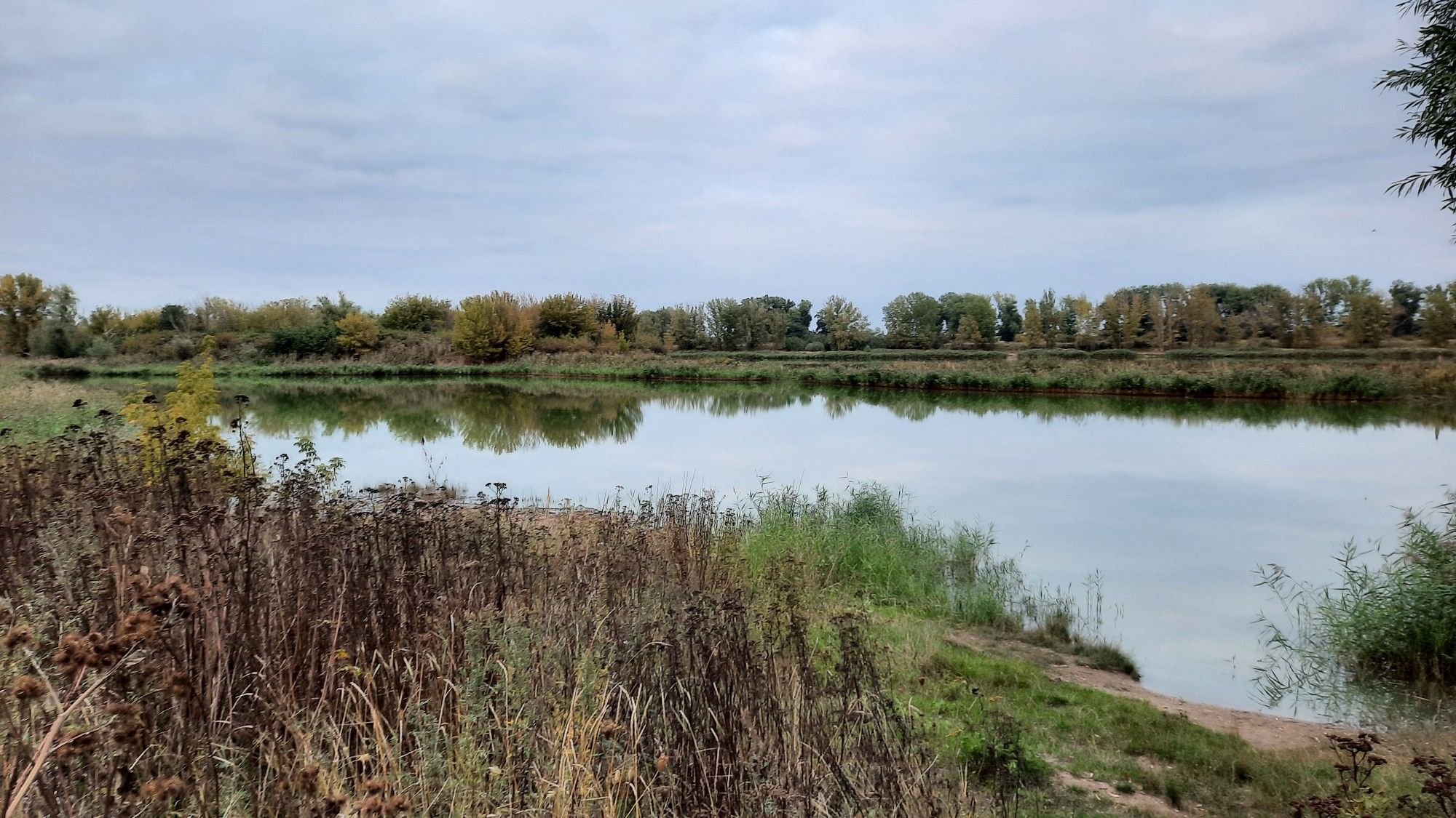 Salbker See I