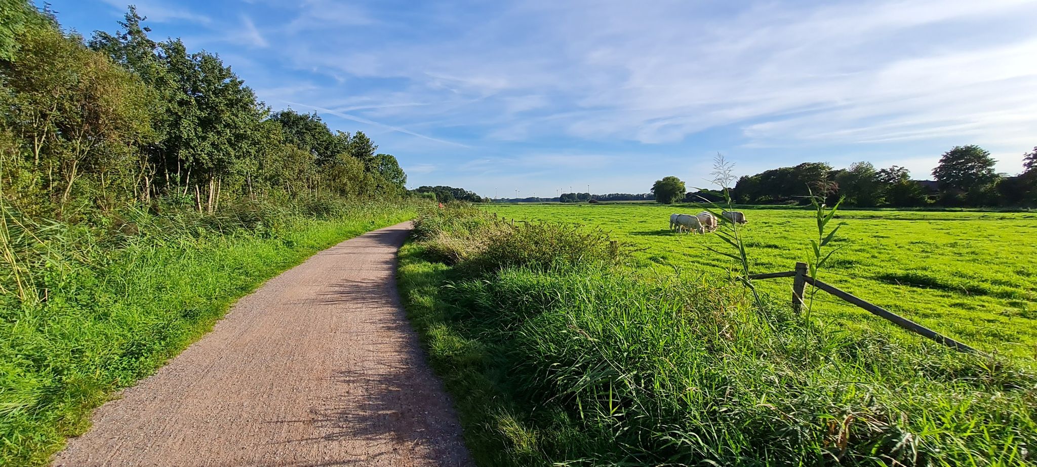 Weg entlang der Dinkel bei Epe