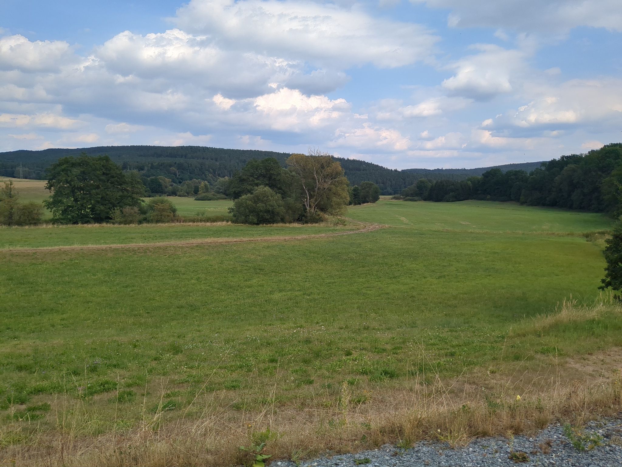 Mainauen bei Altenplos