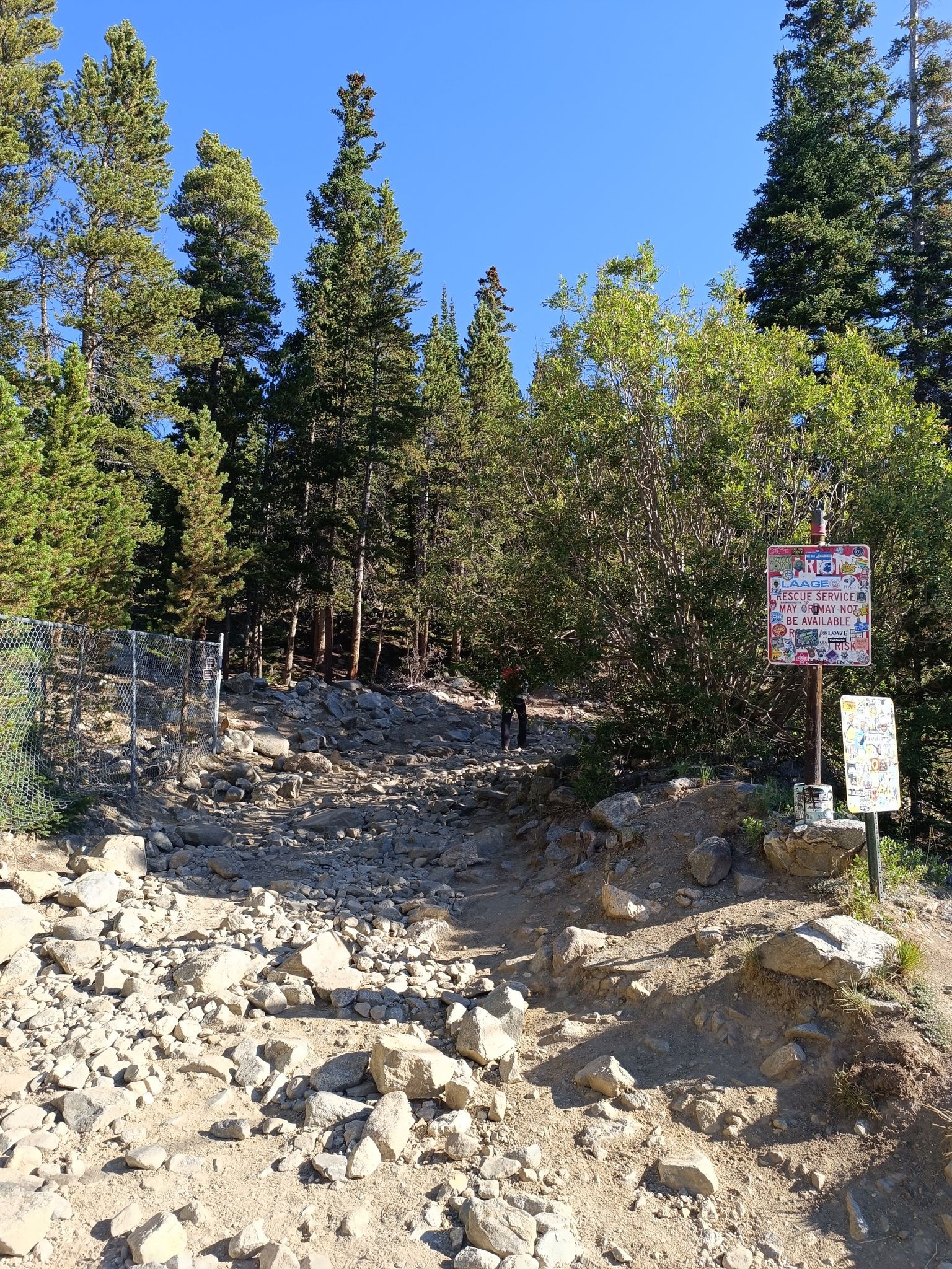 A rocky uphill path leads into a sunlit pine forest with a distant hiker. - Idaho Springs to Silver Lake and Lake Quivira