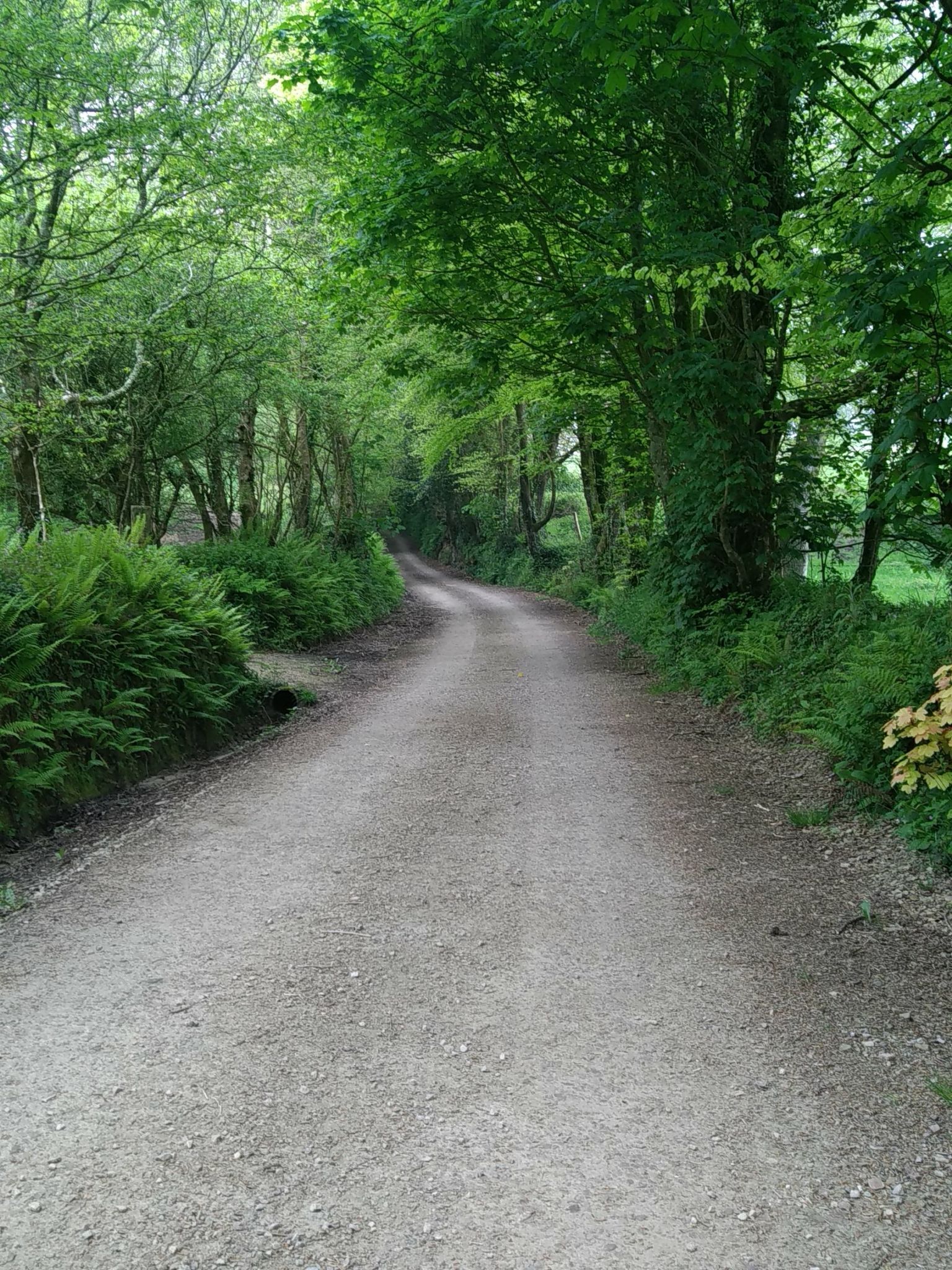 Magnifique chemin pour le gravel
