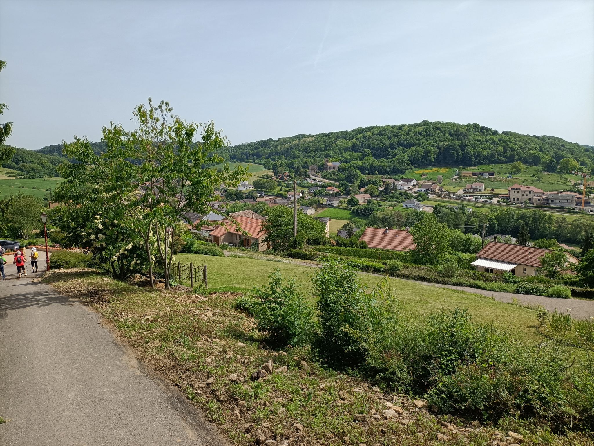 Montenach