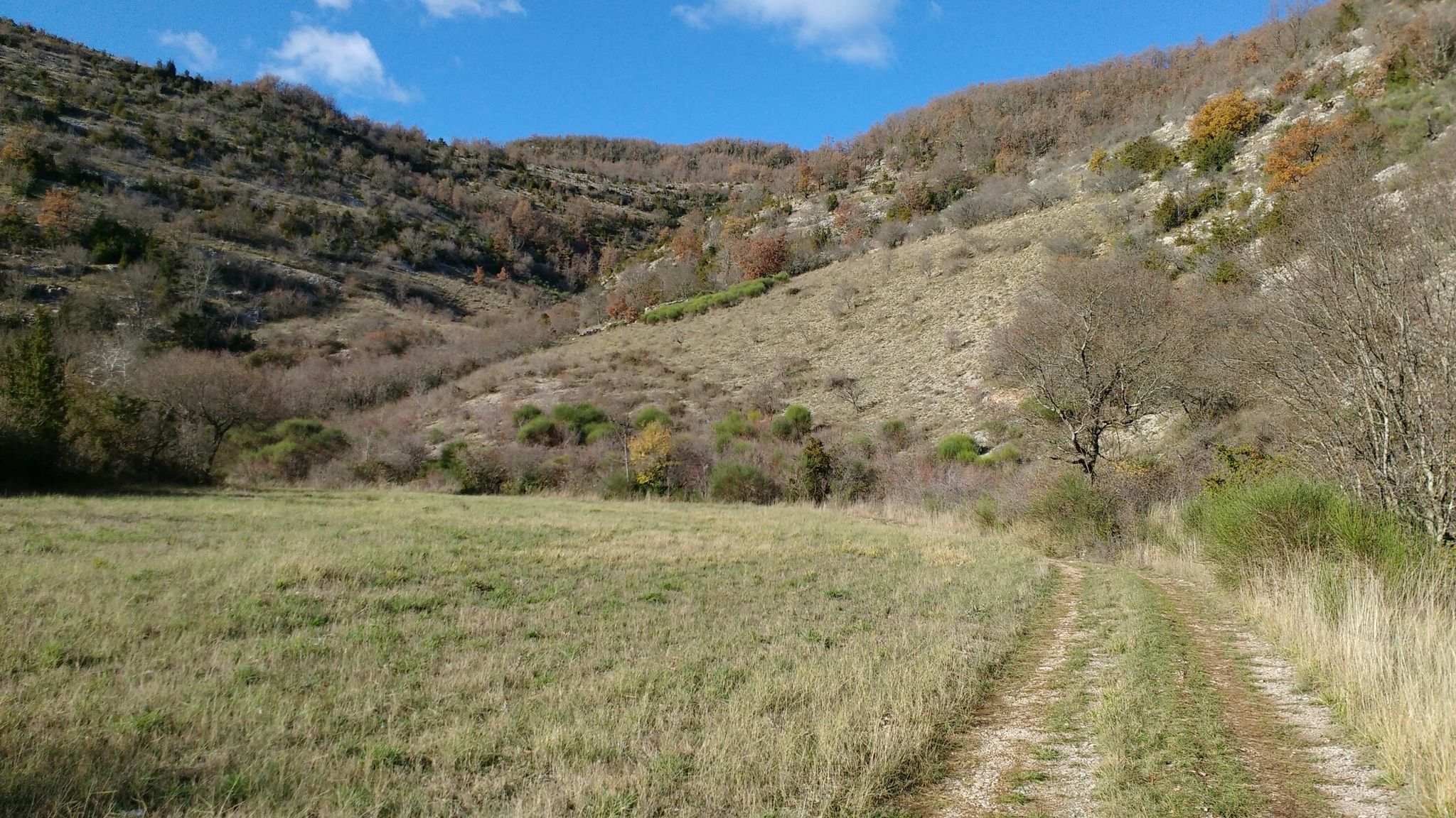 Dans la vallee du Sorbs