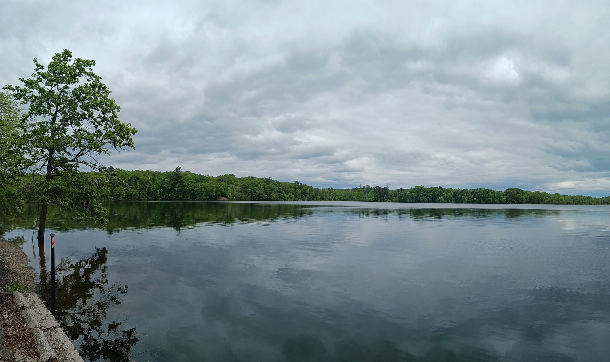 Calm lake reflecting cloudy sky and dense green forest. - Railway Bridge loop from Waverley