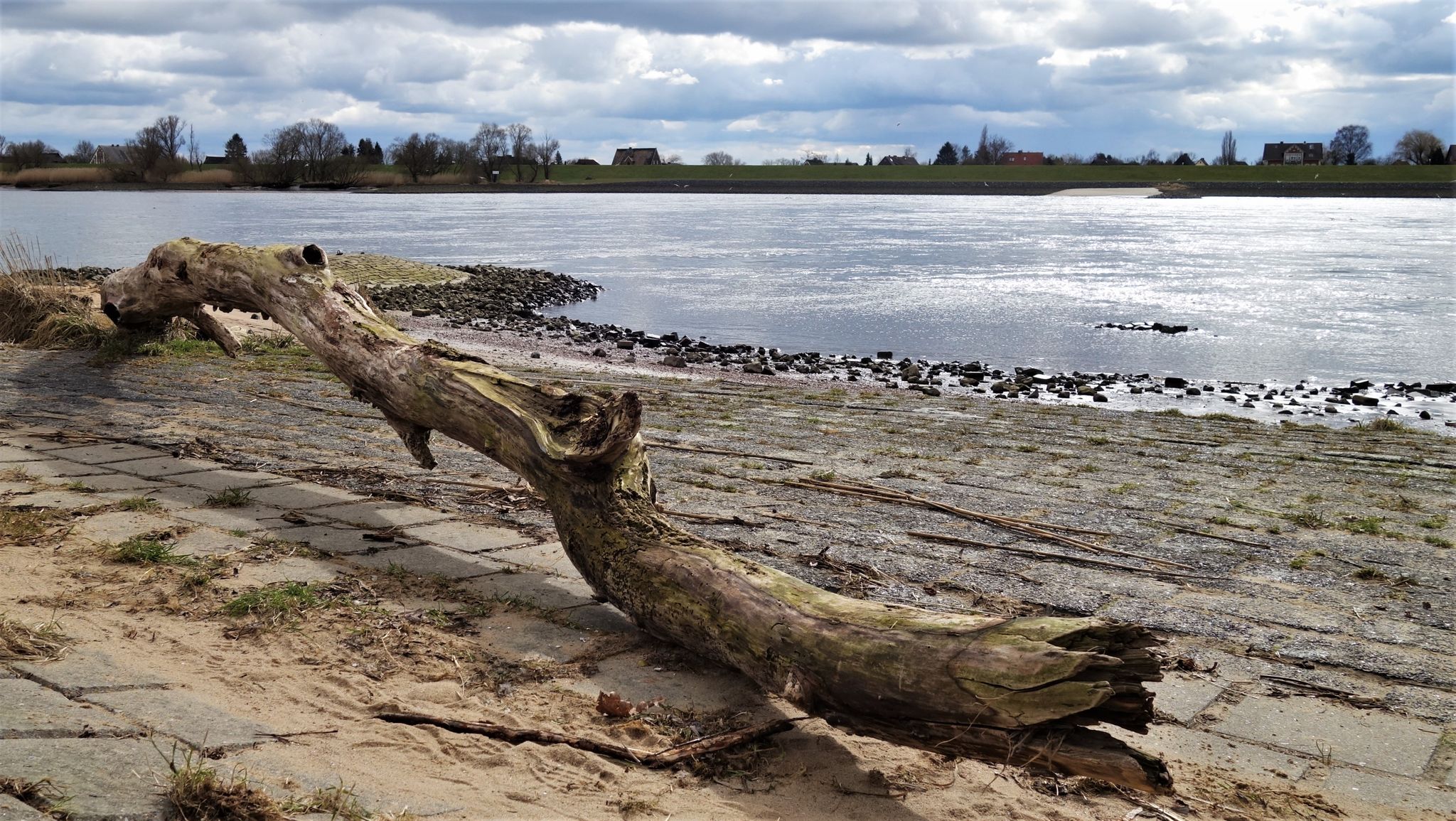 Warwischer Deich zur Elbe